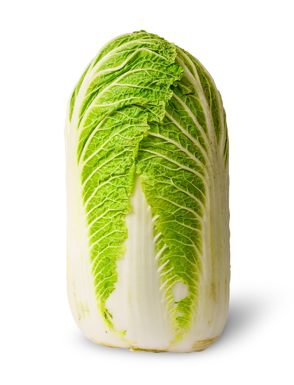 冬天储存大白菜的秘诀  在冬天,大白菜是一种非常实用的蔬菜,它不仅