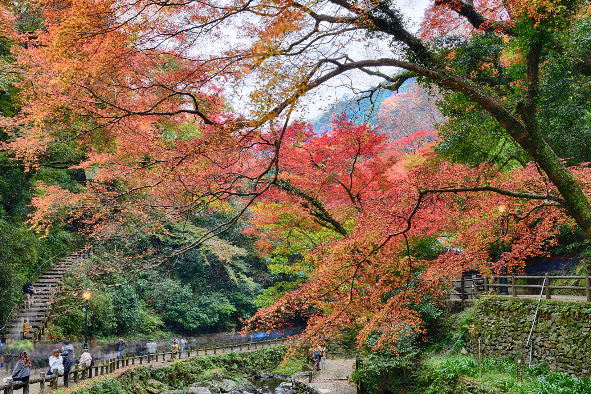 秋天的魅力,重庆秋季旅游胜地 fengfeng:嗨!听说你对重庆秋季旅游很感