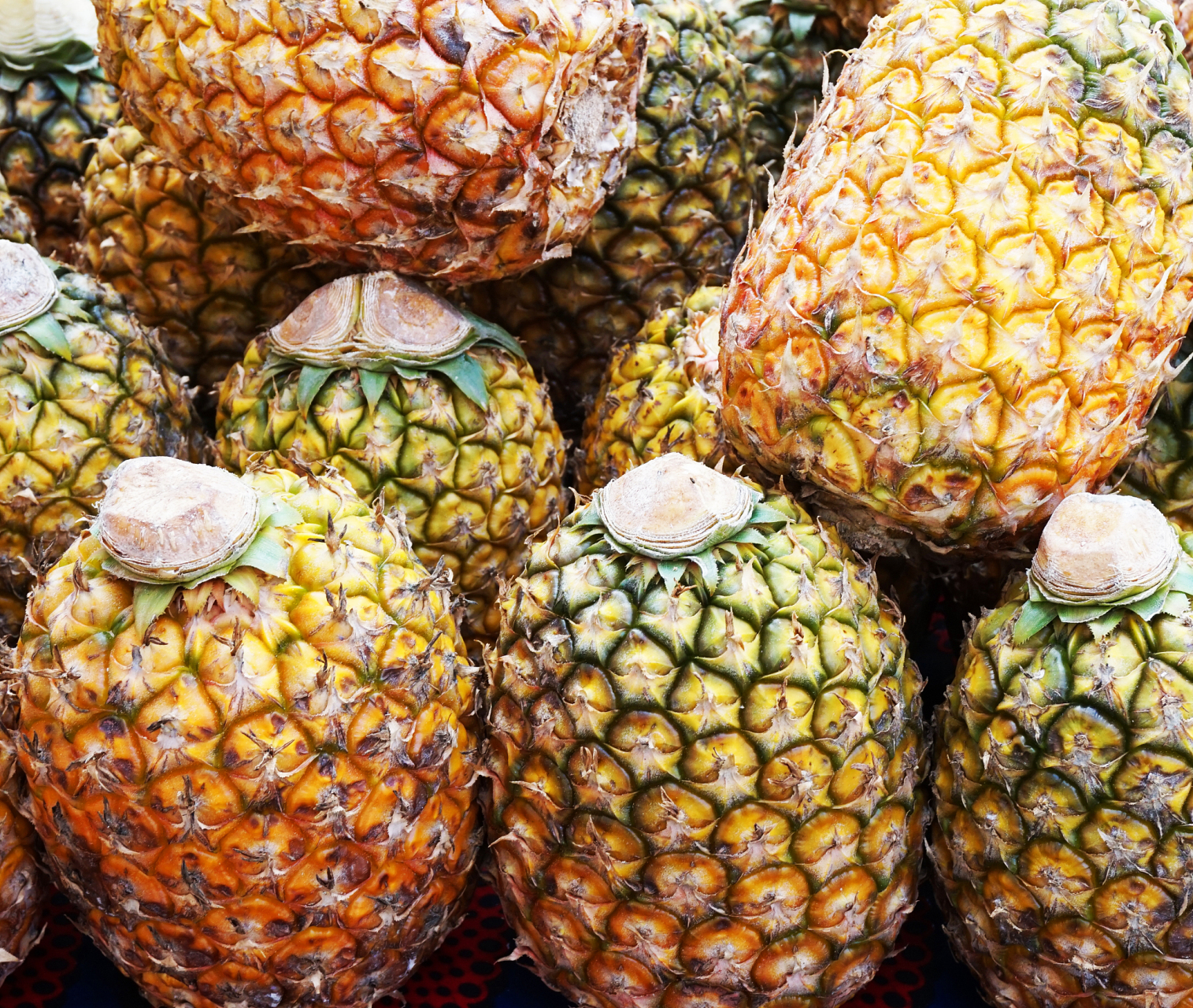 徐闻菠萝被誉为"热带水果之王",广东的特色水果.