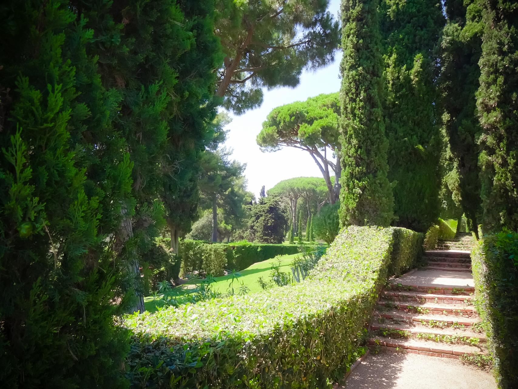 金头公园是法国里昂市的一座城市公园,是法国最大的公园之一.