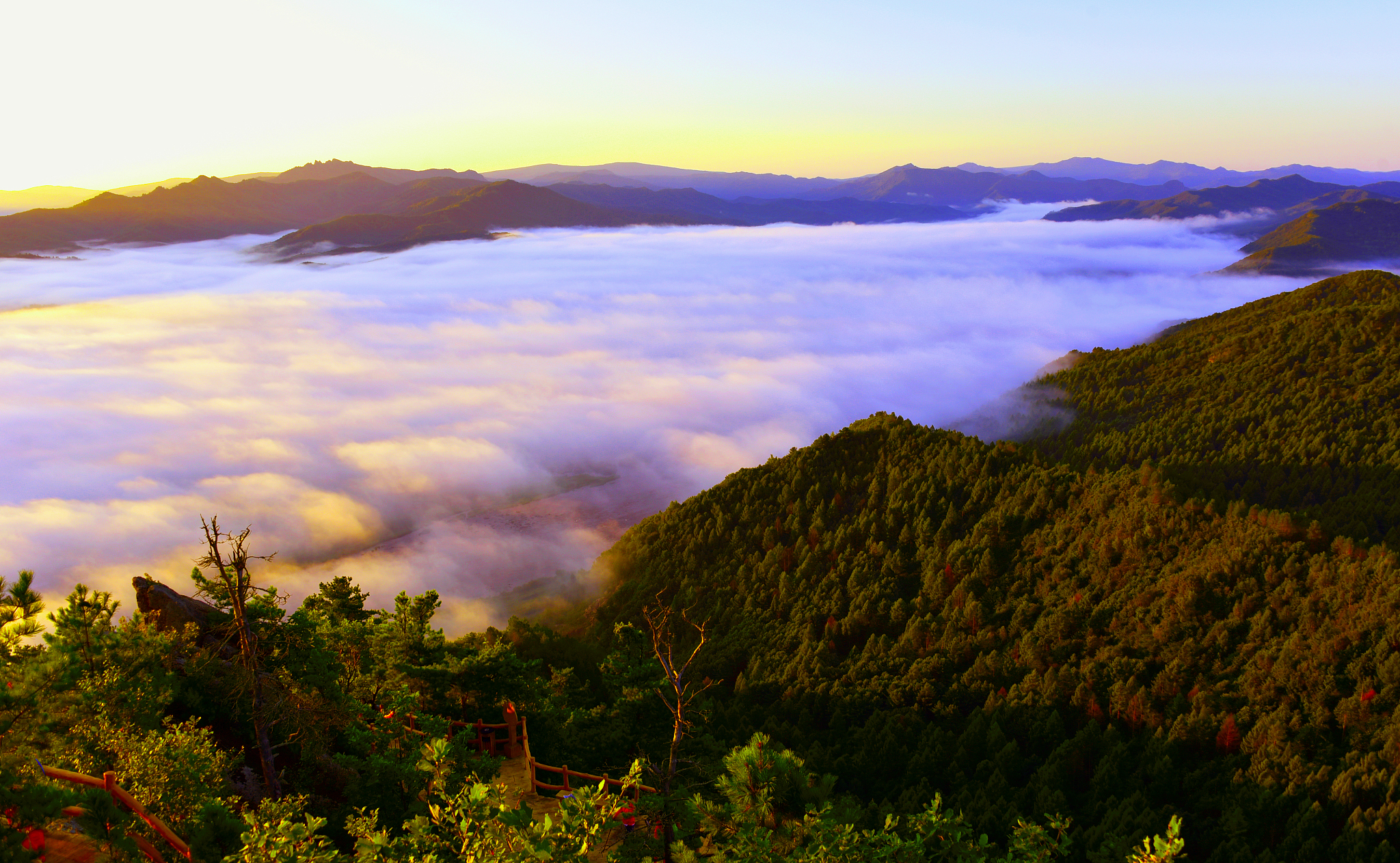半生已过 学会看淡 来自百家号 风过有声 不错网