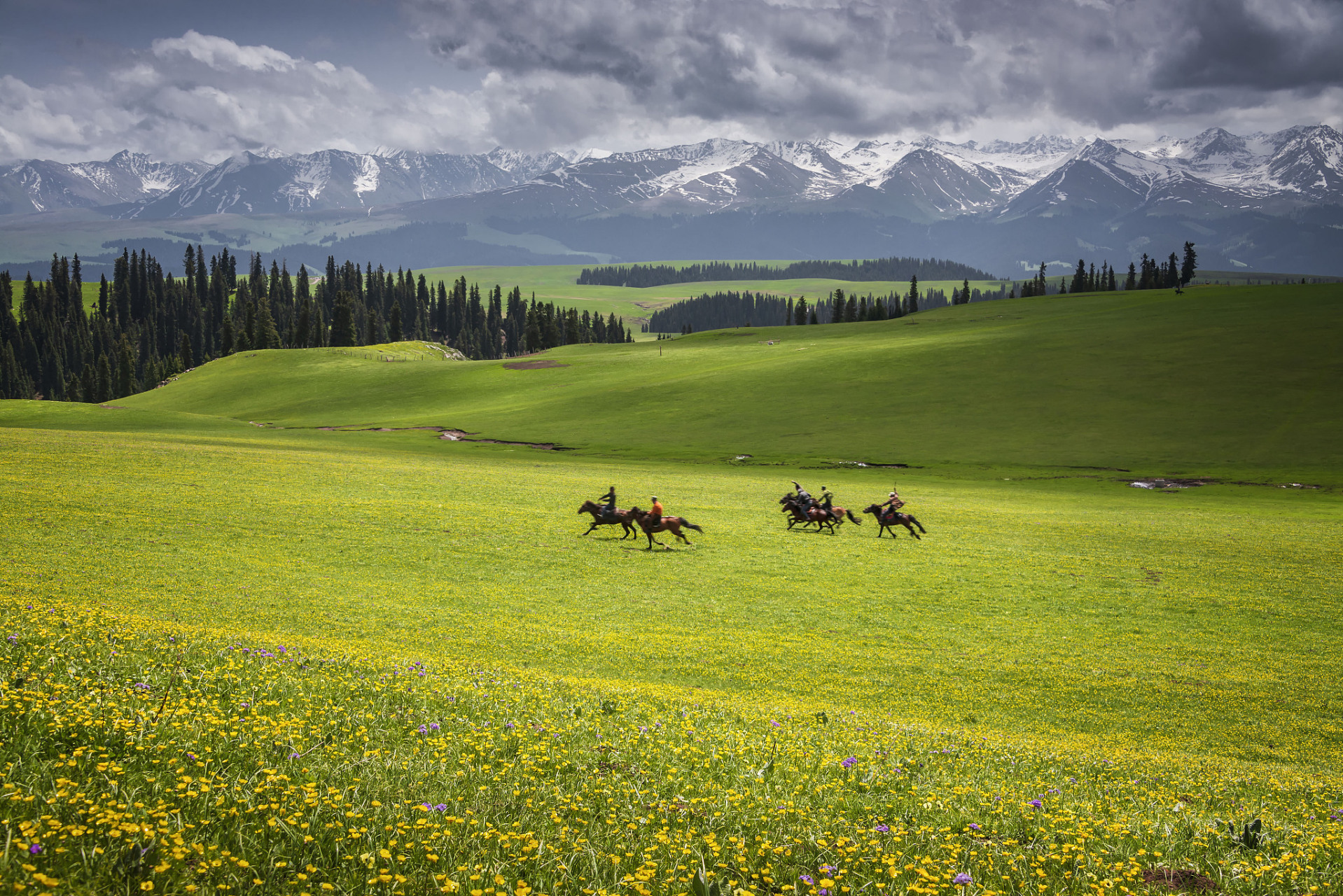 奇遇那拉提#新疆那拉提大草原是中国最具代表性的草原之一.