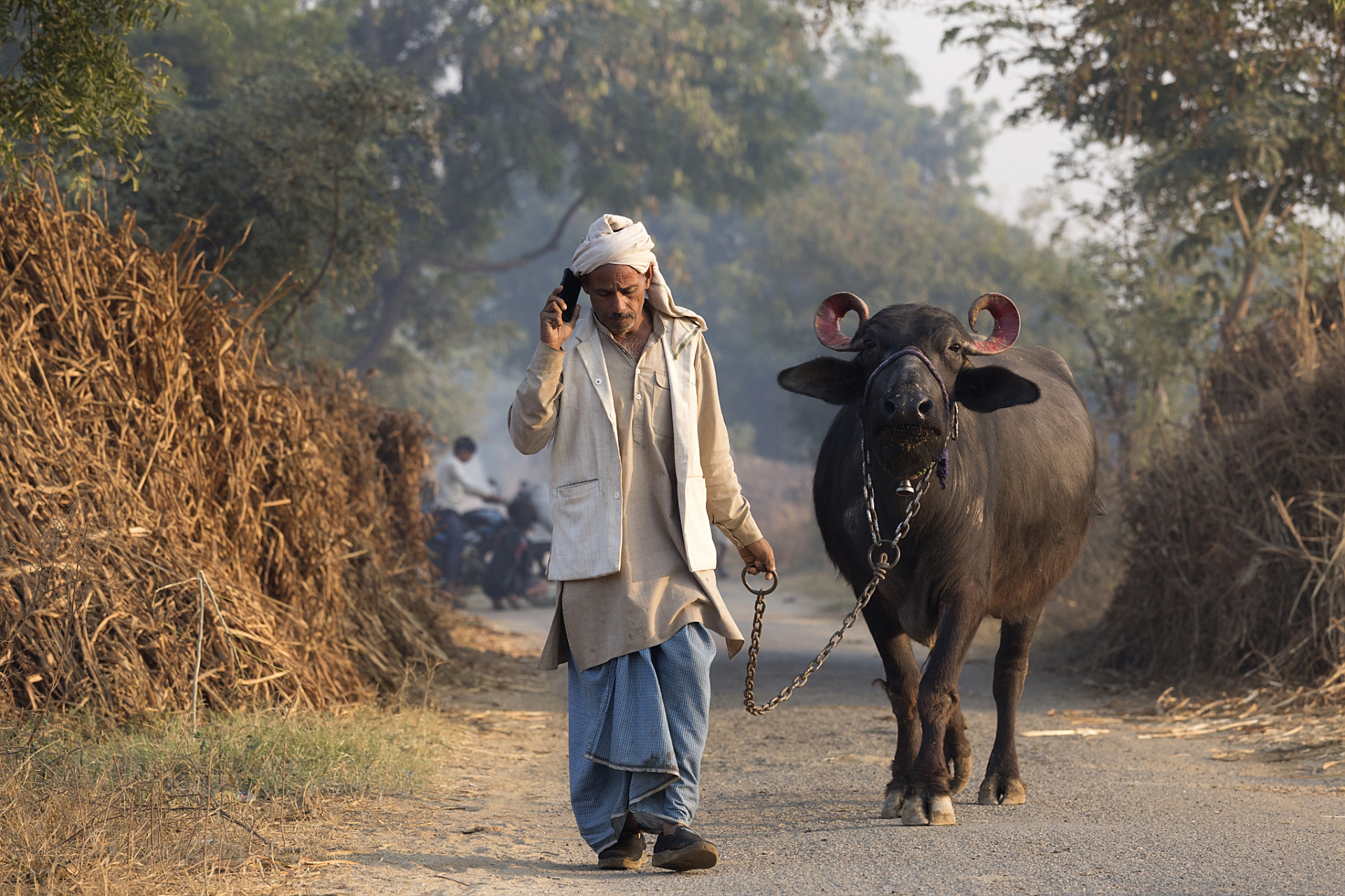 25岁的小伙子喝酒走在半山坡上,突然看见山坳里有一个50岁的放牛大妈