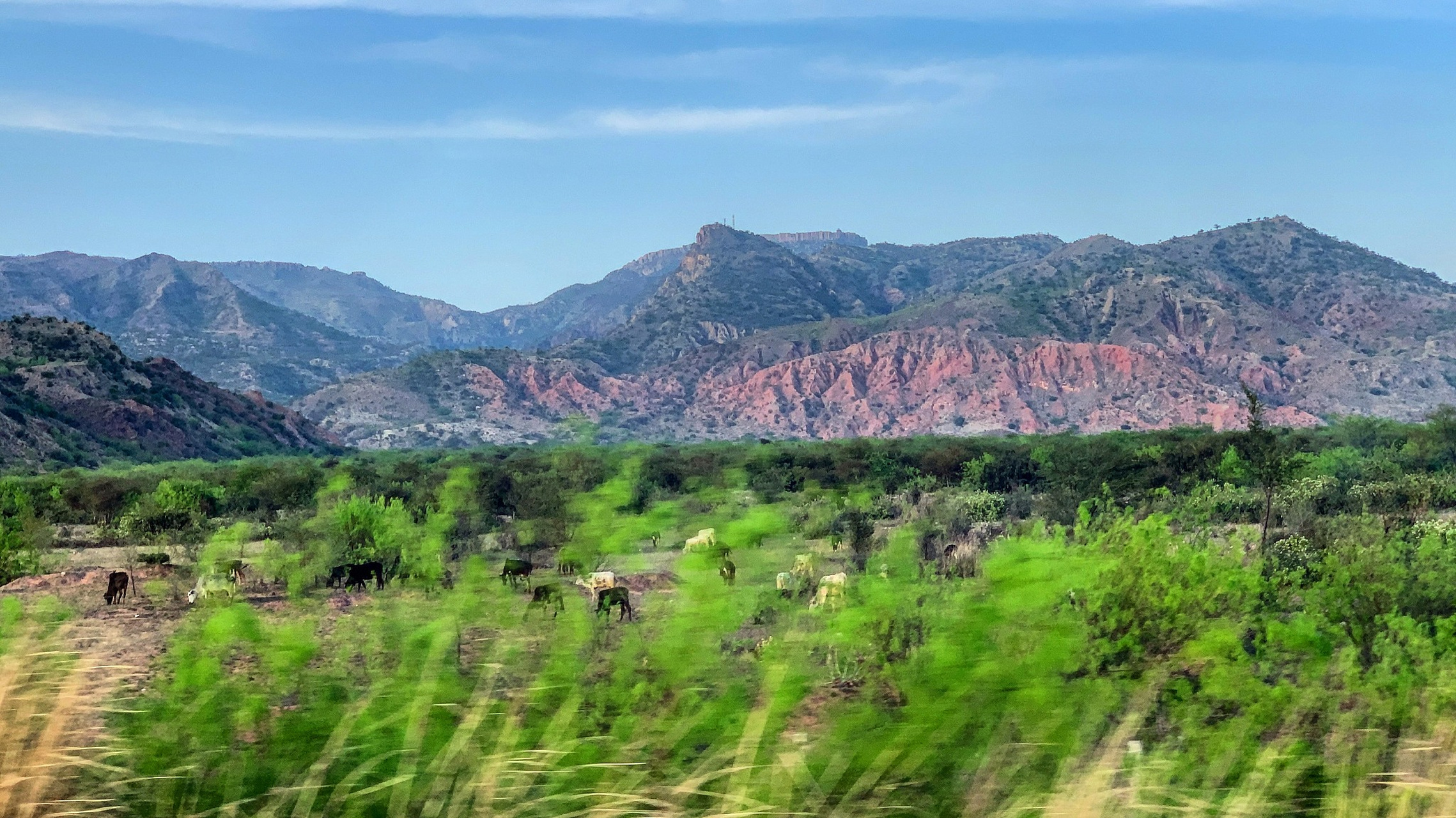 心定西再出发#定西市临洮县龙门镇三十里铺景点特色 位于甘肃省定鼢