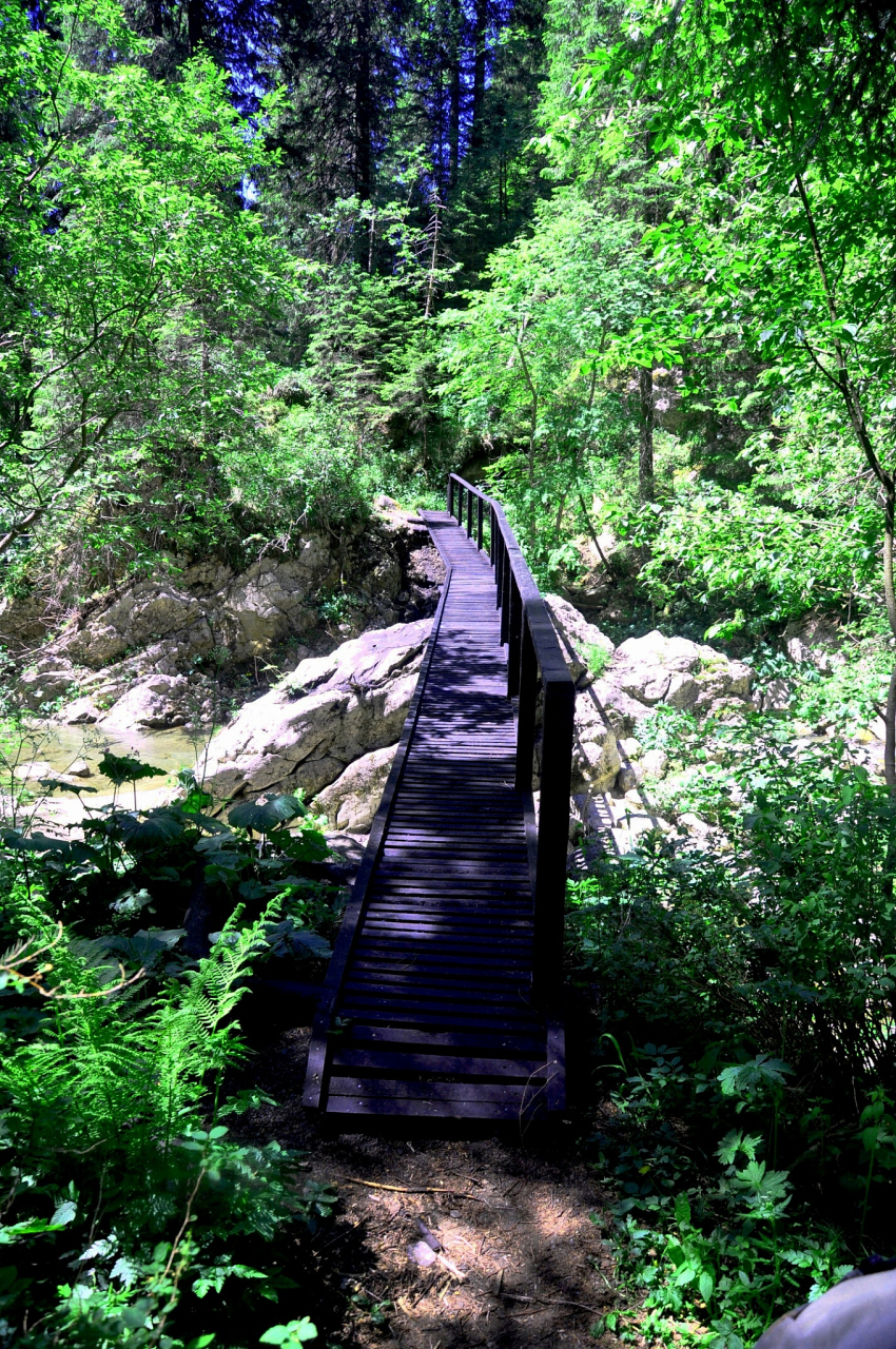 鹤伴山国家森林公园图片