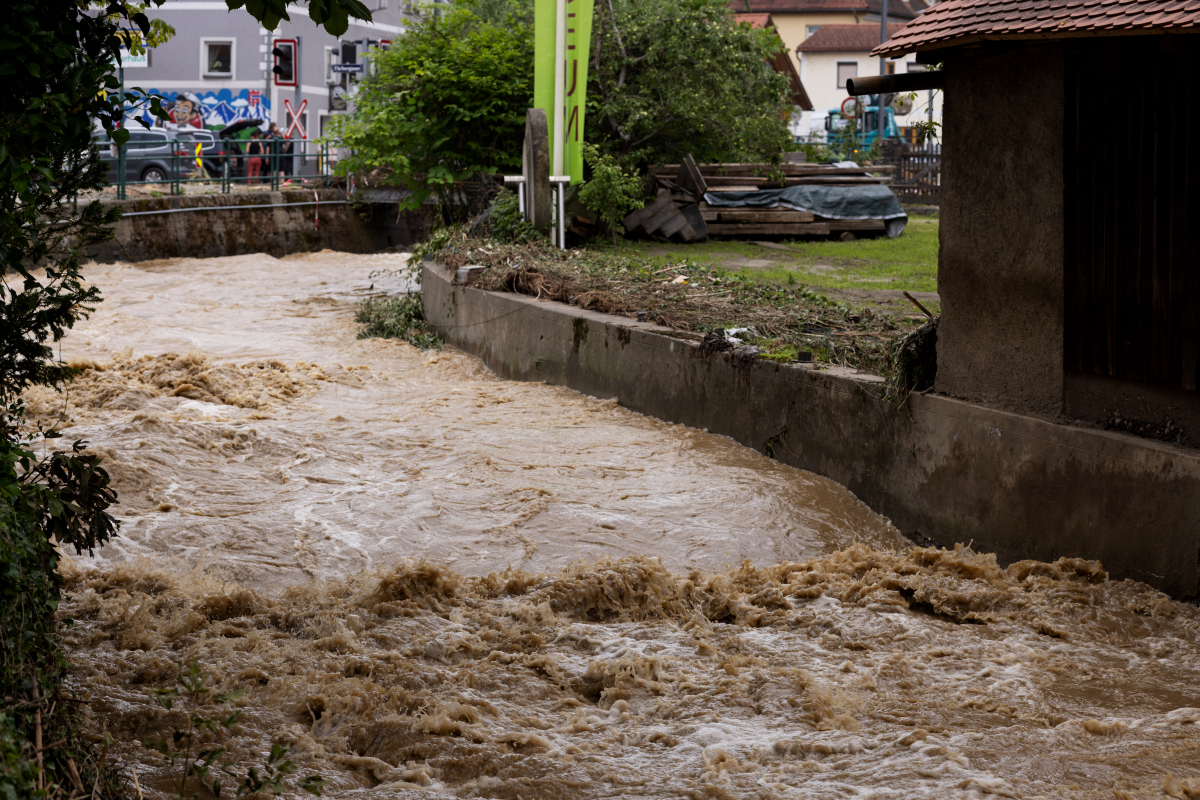 同事和我一样,从农村出来,并且是一家人全在济南打工