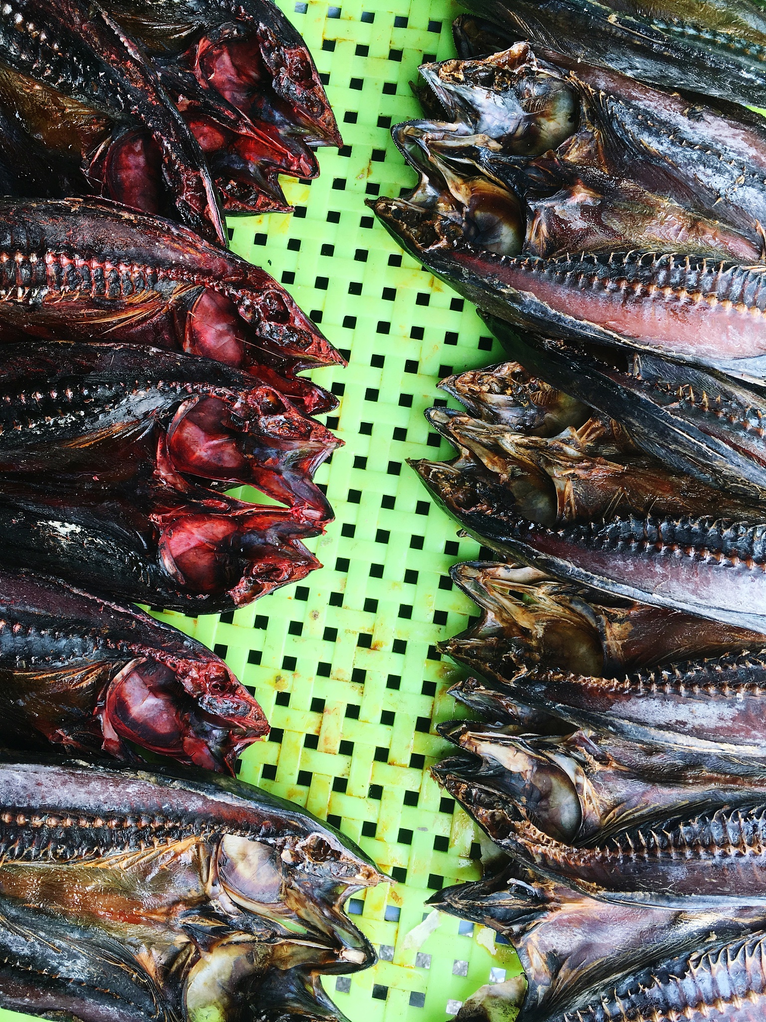 是坐在家中,享受安逸的闲暇时光?还是走出门,拥抱外面的精彩世界?