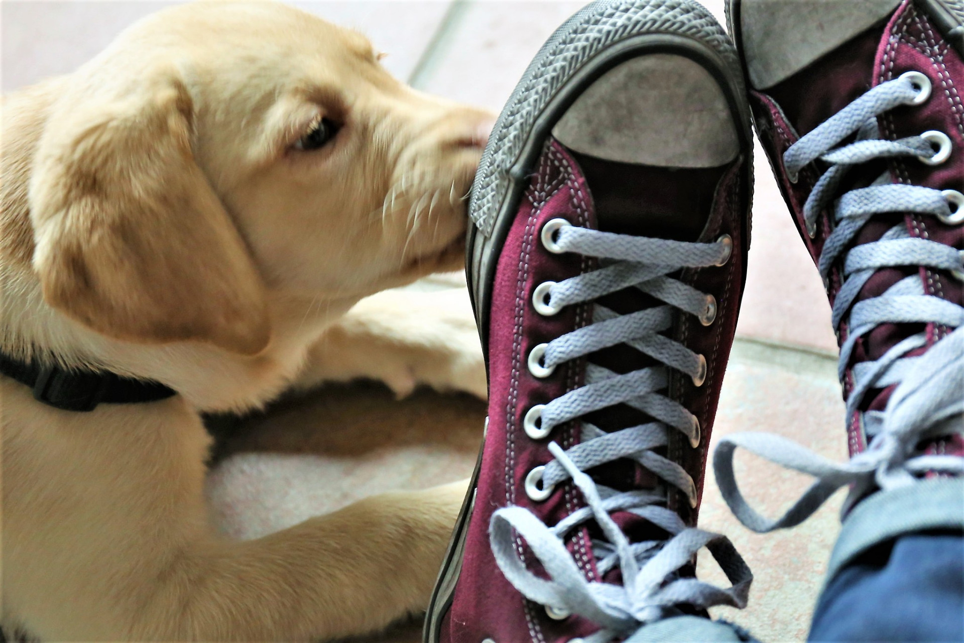 9299 《鞋狗》——一部触动人心的力作9992  当被问到"你对