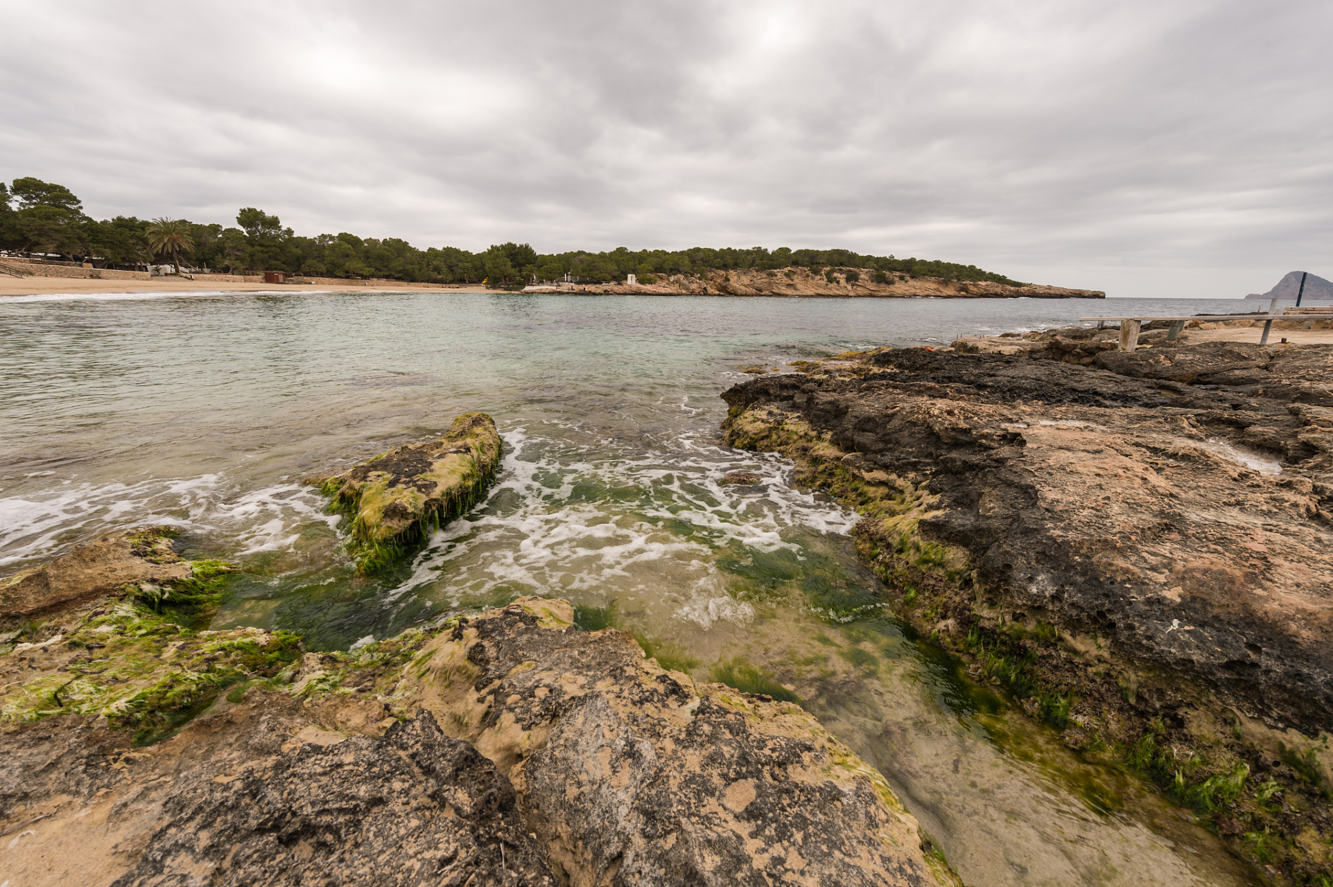 优质短图文计划# #巴西出现赤潮现象使240人中毒#  巴西东北部阿拉戈