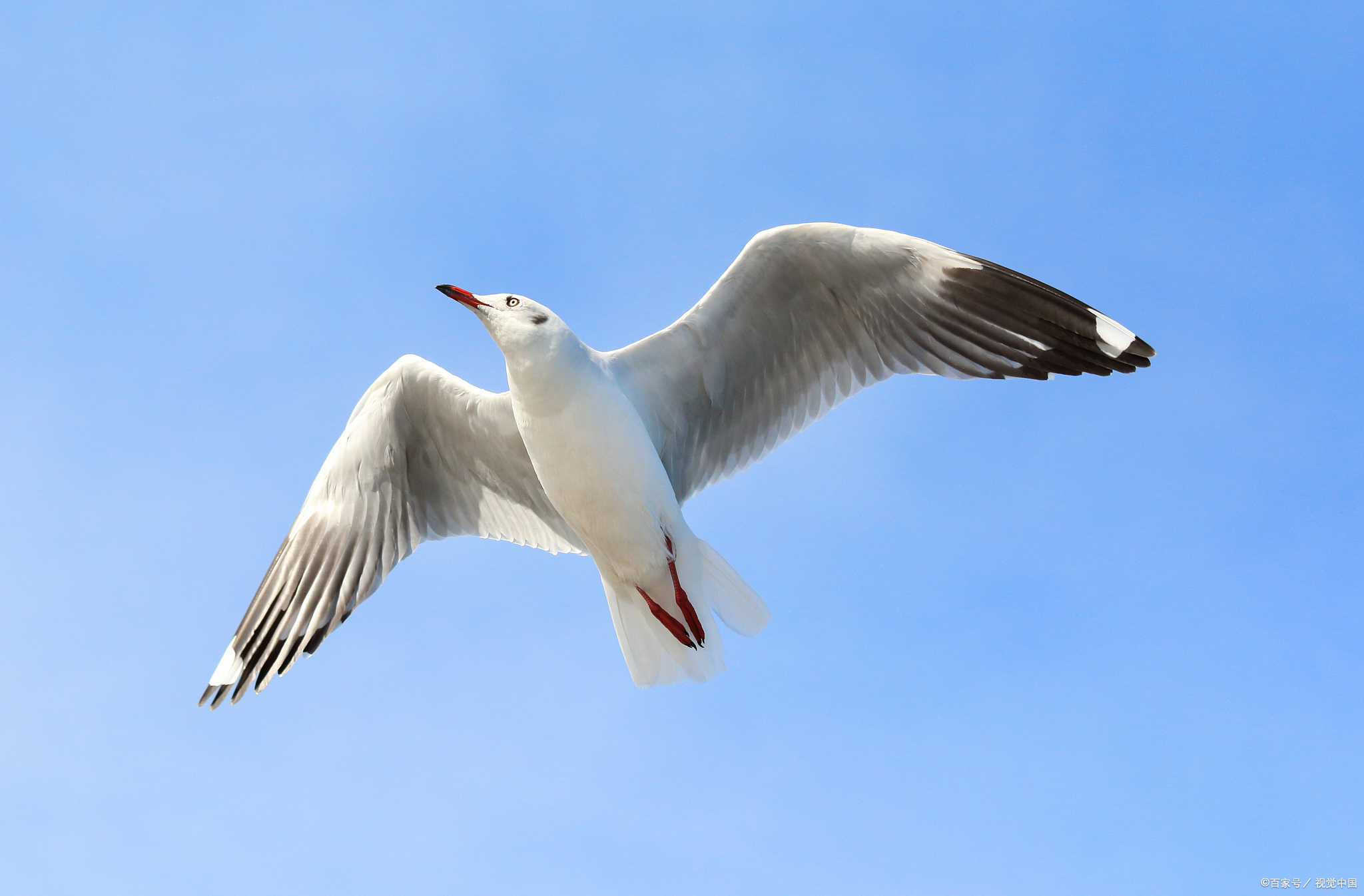 天堂不是一个地点,也不是一段时.@咏儿有微光的动态