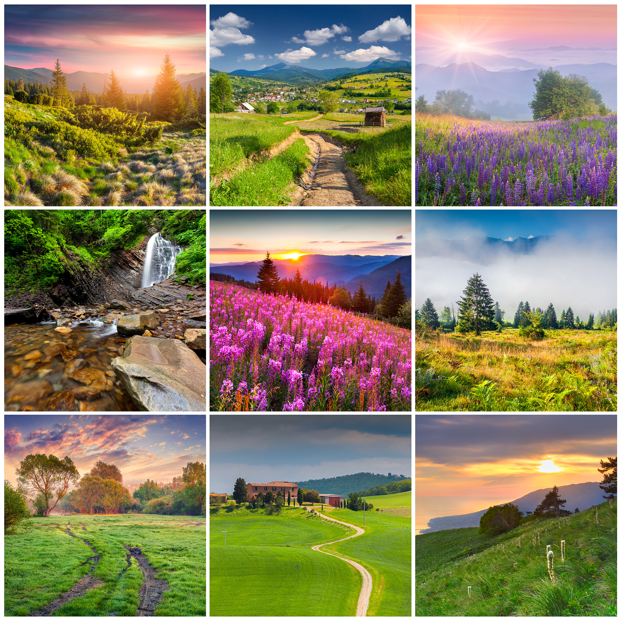 冬天不冷夏天#我的2024城市时刻# 不热,四季如春