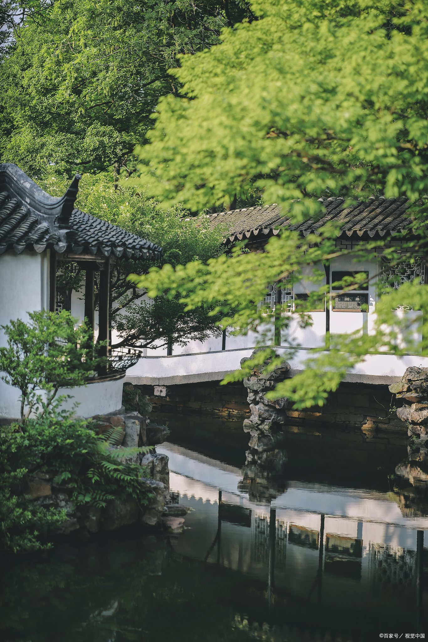 走进拙政园,就像穿越回了千年前的园林艺术世界.