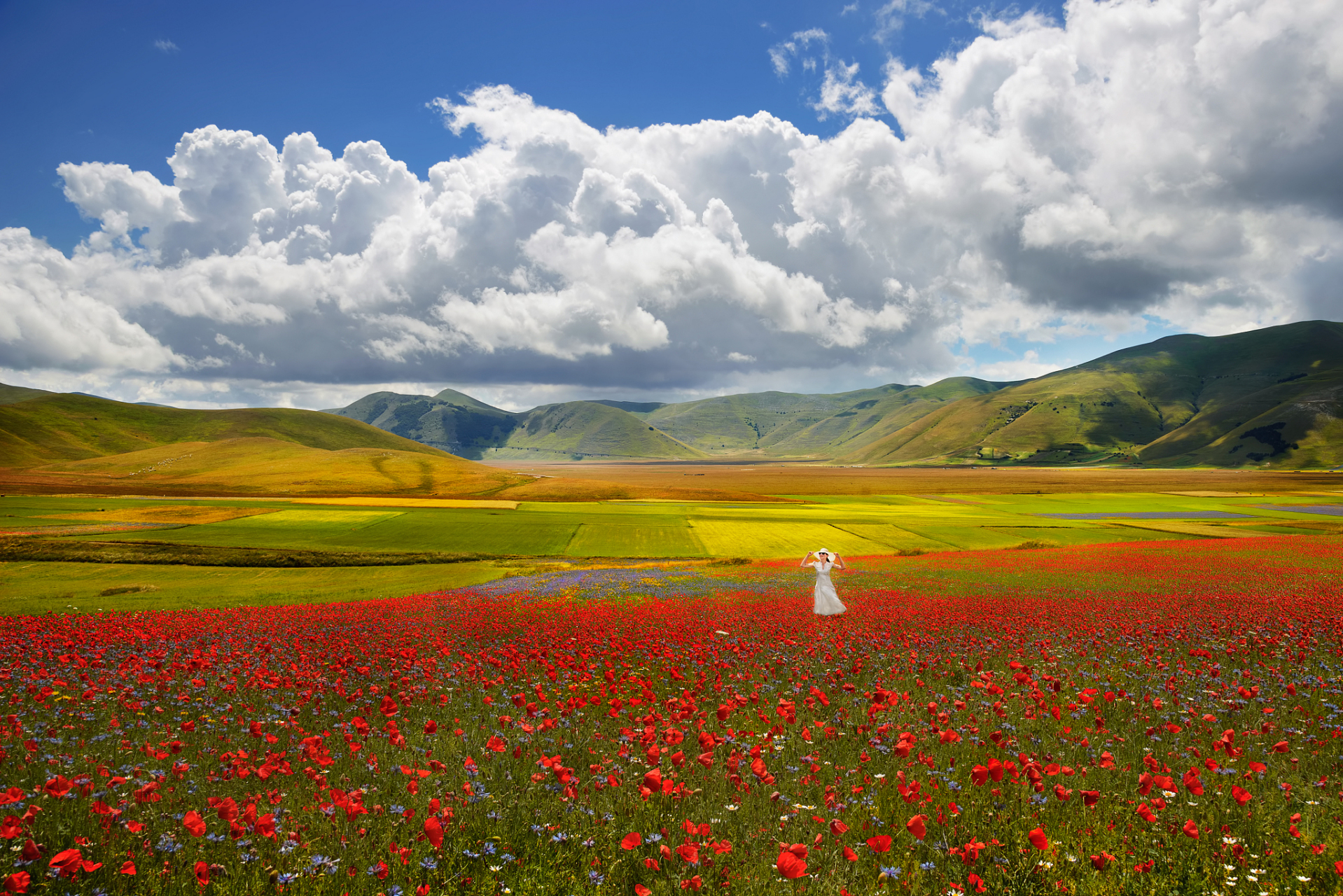 奇遇那拉提#新疆花海那拉提是一处美丽迷人的景点,是游客们旅游的