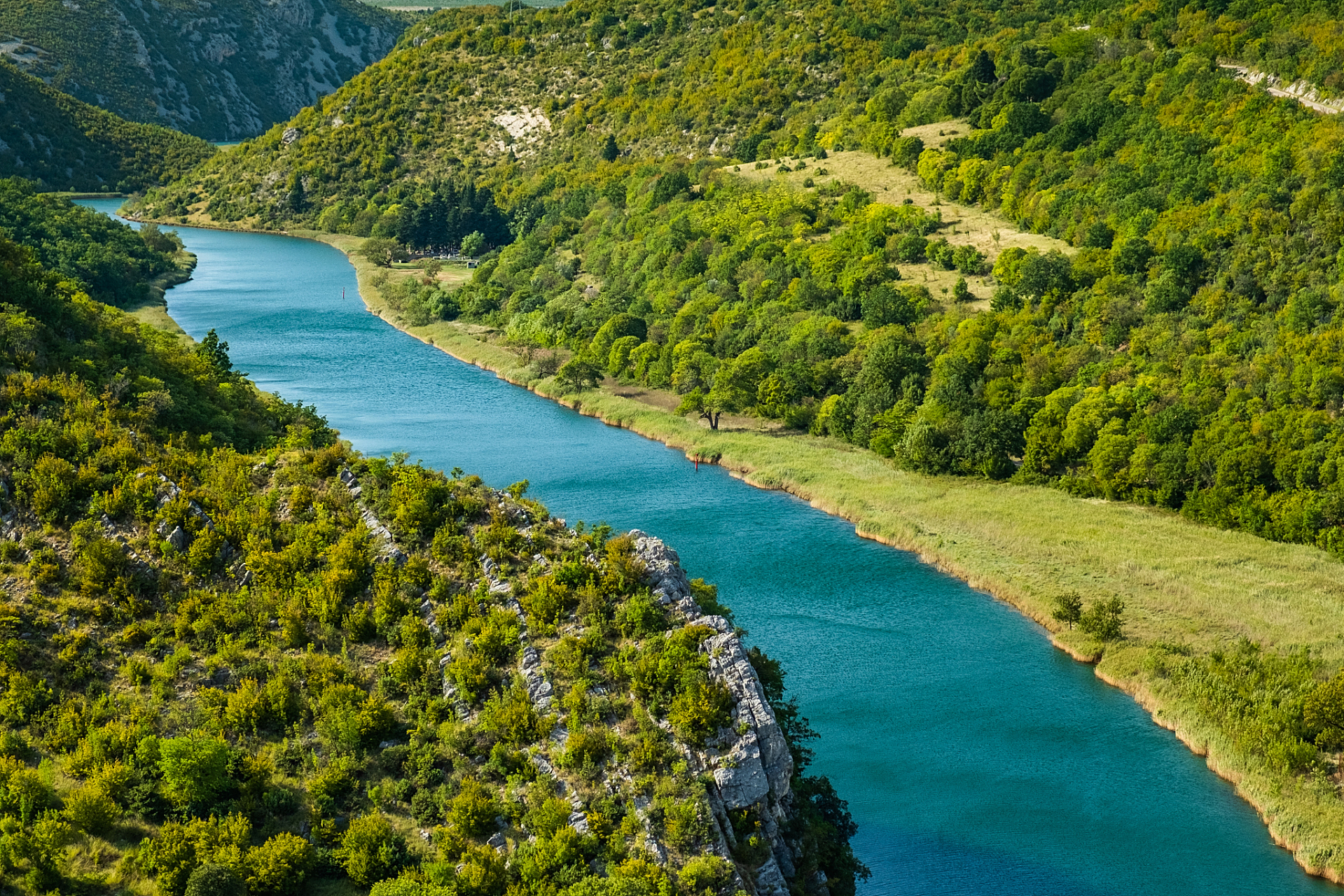 秋实之美# 人生是一幅风景 山川河流,无穷无尽 但缺少一束鲜花的点缀