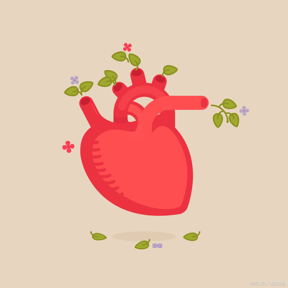 :我是一名32岁的男性,最近被诊断出患有室间隔缺损