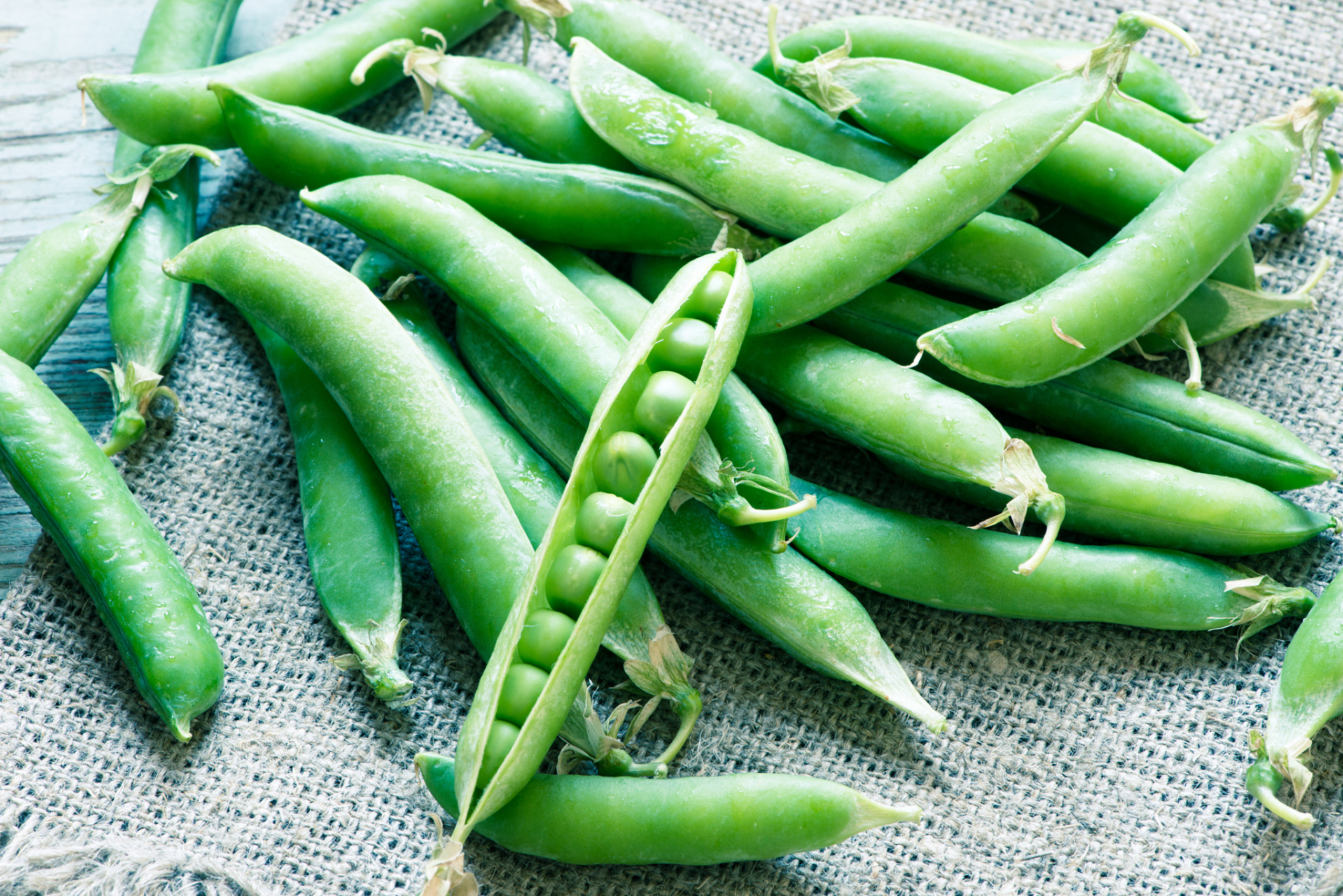 荷兰豆中毒症状及解决办法	荷兰豆类中毒后的毒性表现