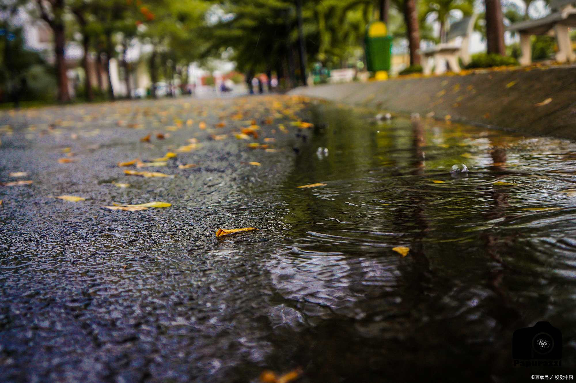 窗外树梢疯狂摇曳,秋雨过后,不知能否待到明日清晨.