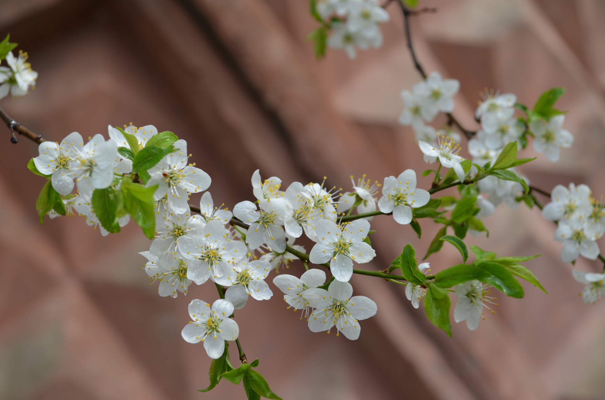 这个世界从来都是一分耕耘一分收获,想要不劳而获,侵占不属于自己的