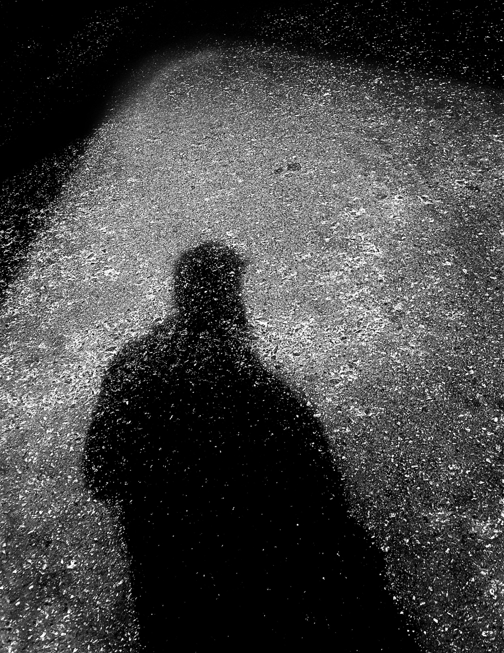 这天晚上,王老汉起夜上茅厕,忽然墙头上又出现了那个黑影,王老汉提起