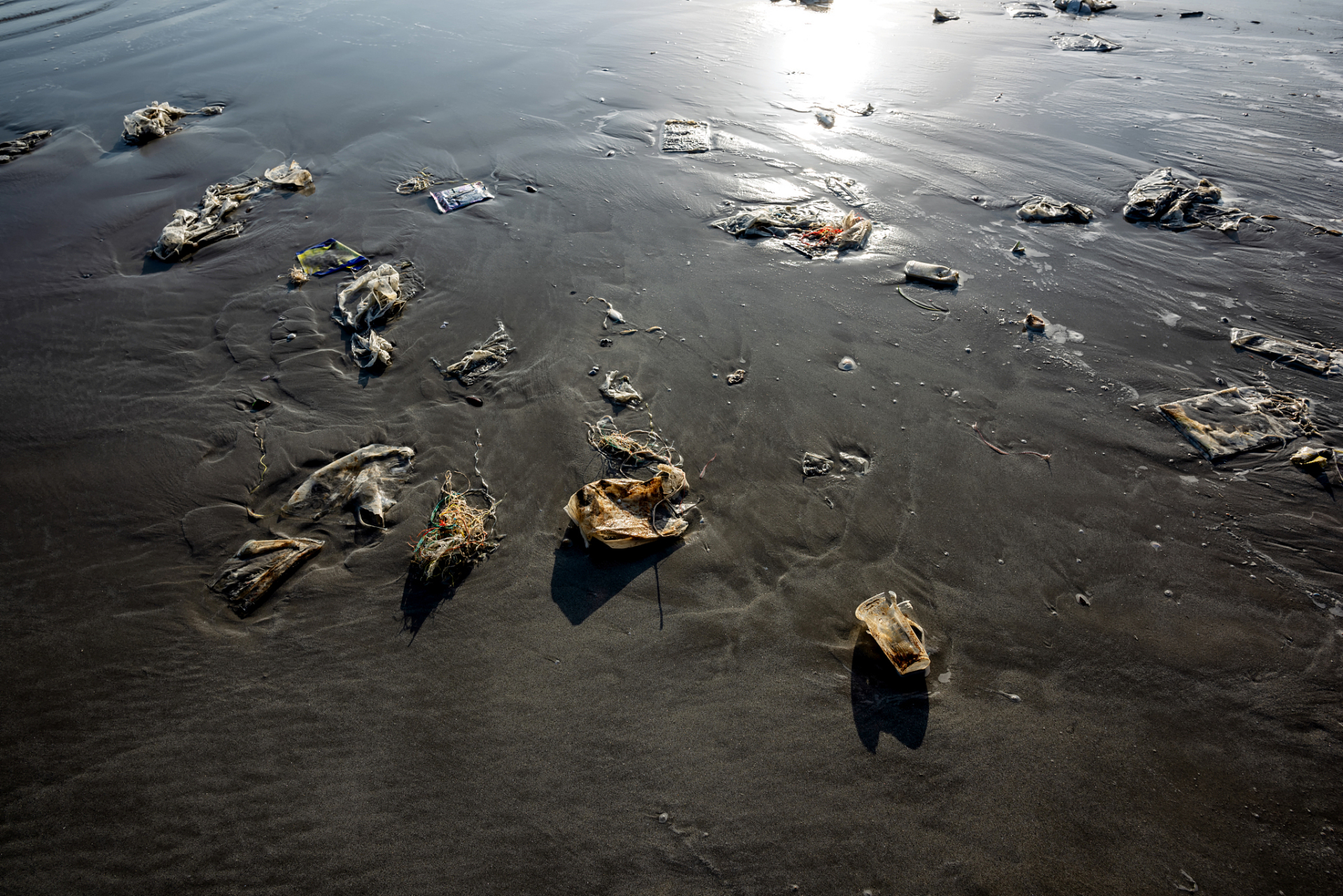 日本政府决定要将福岛核污染水排入大海,这个决定引起了广泛的关注和