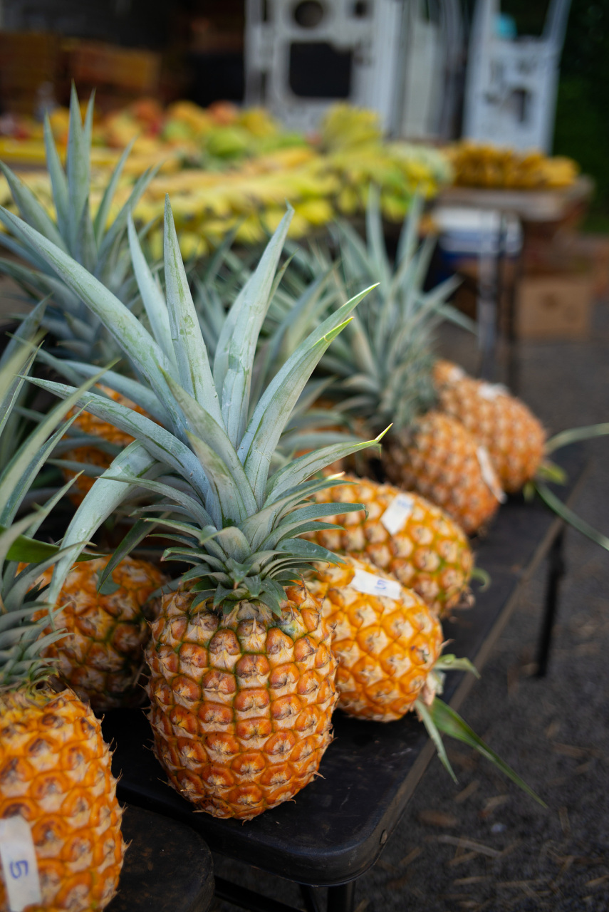 菠萝相关图片2