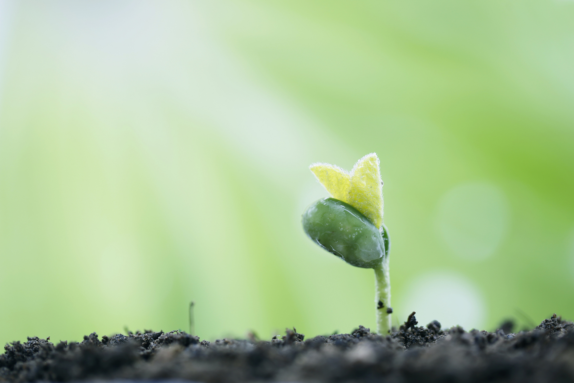 不管是消耗你的人,还是让你恐惧和焦虑的事, 又