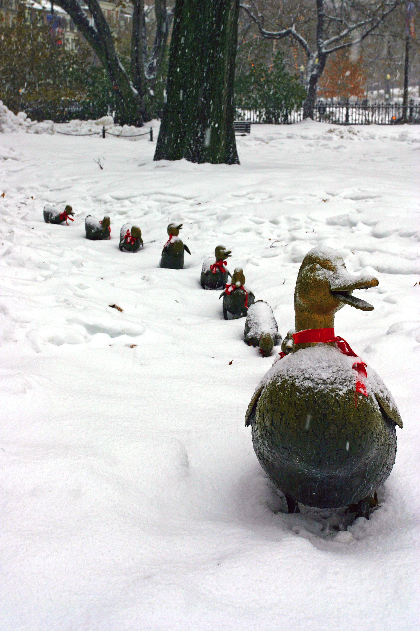 人生过半学会看淡,静而不争,顺其自然,不要总是顾