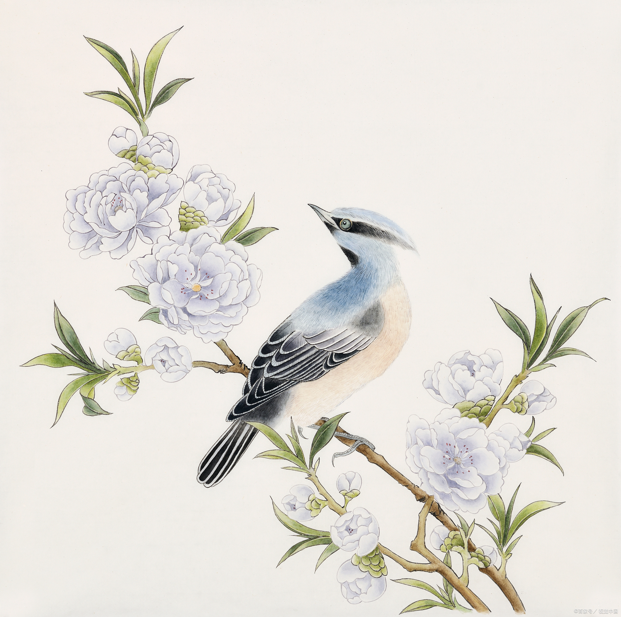 工笔花鸟画技法:细致入微的艺术表现