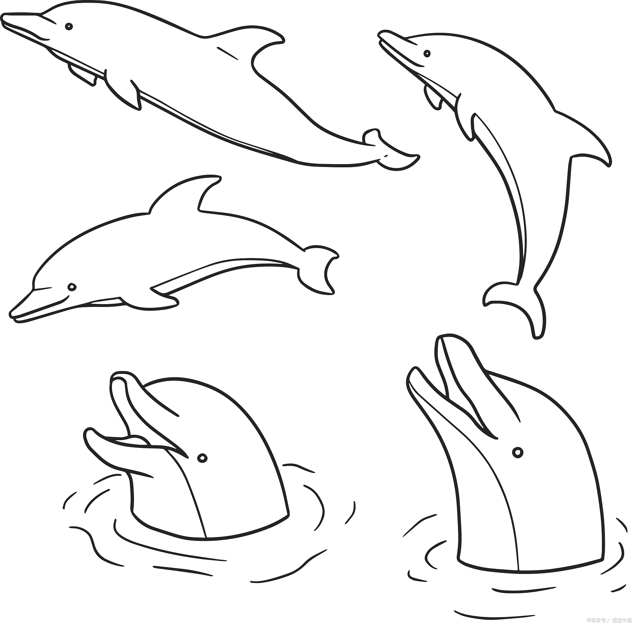 动态连更挑战# 海豚怎么画简单又漂亮