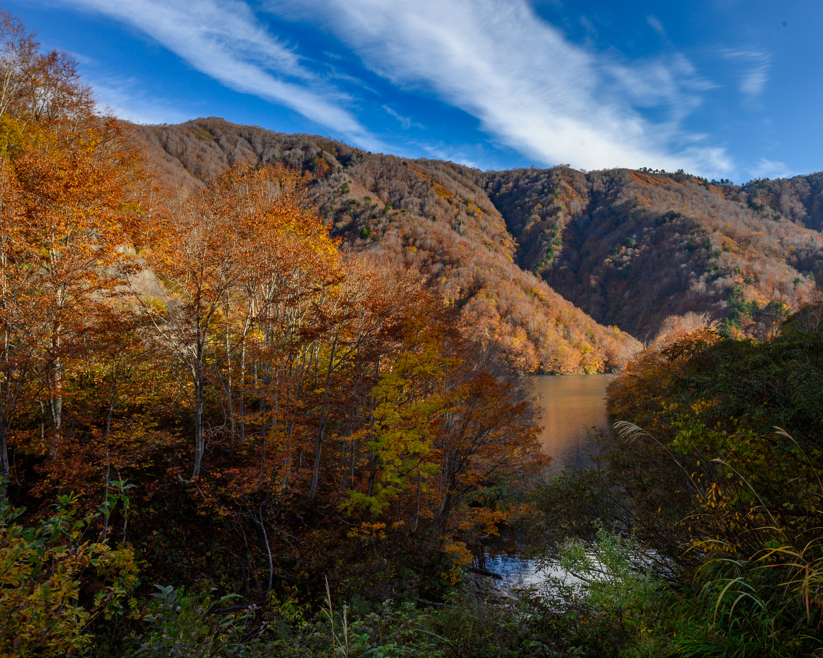 宝鸡景区大水川图片