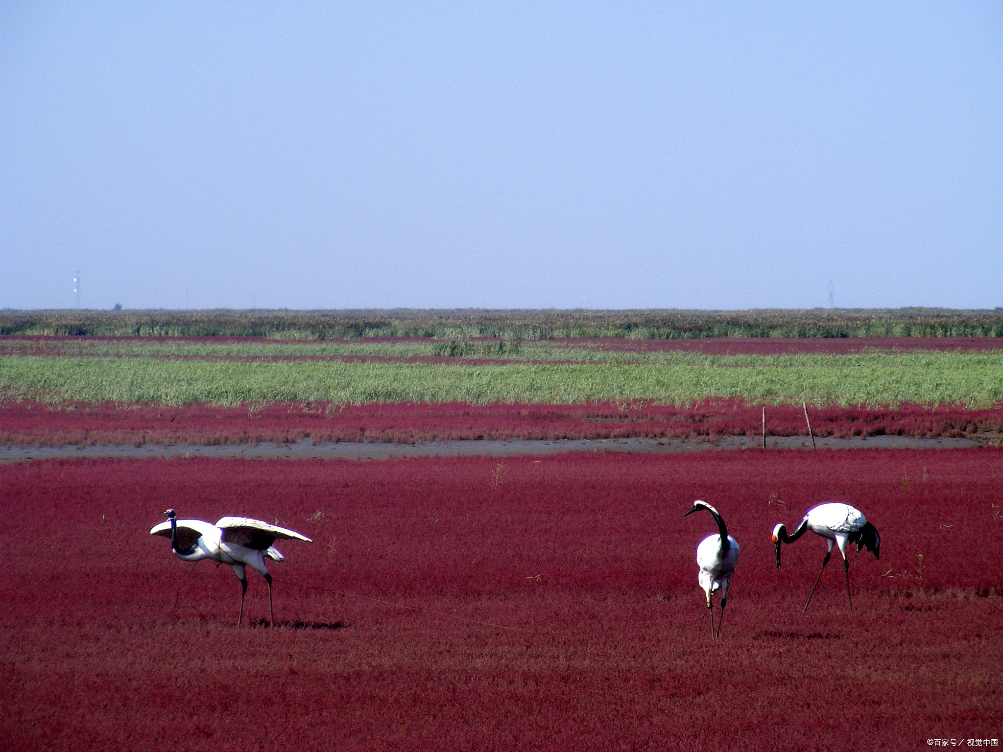 如果你正在计划一次盘锦之行,那么这十个景点是你绝对不能错过的.