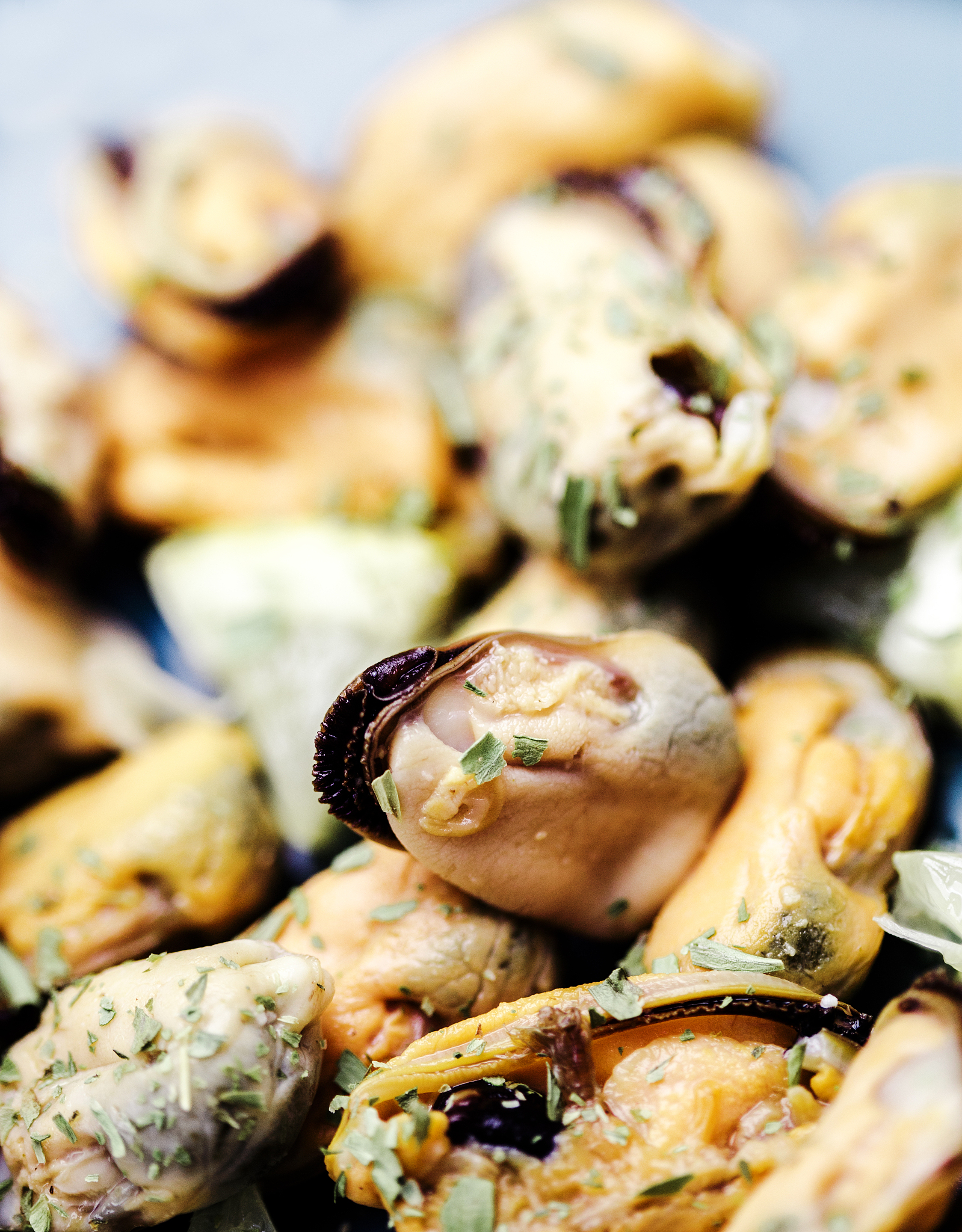 舟山特色美食嵊泗贻贝美食,好好吃