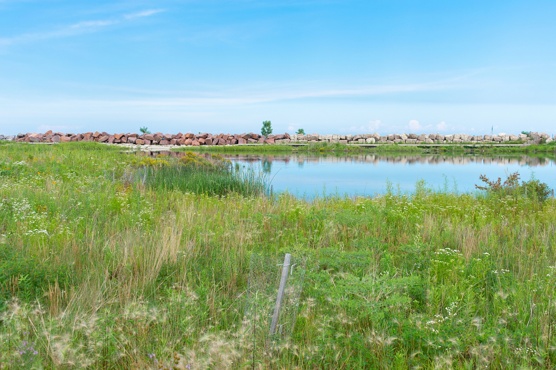 合肥滨湖坝上草原:与孩子共度的夏日风草悠悠之旅90  夏日炎炎,城市