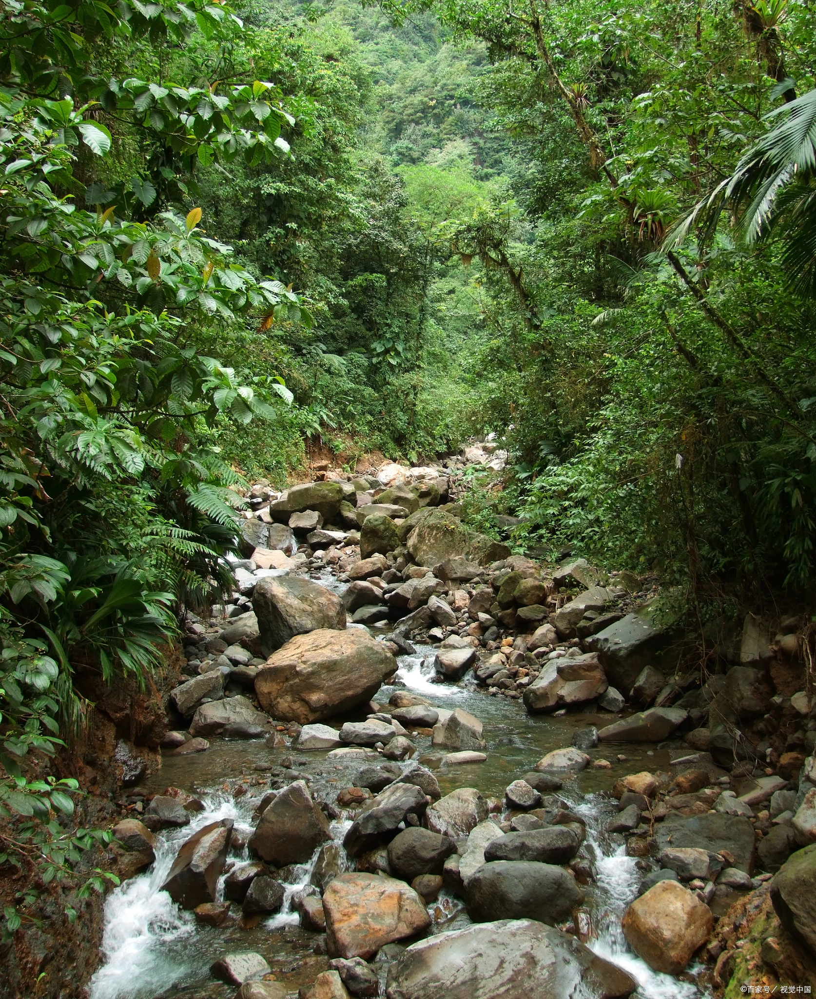 山沟沟风景图片