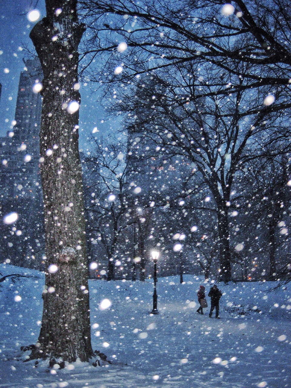 雪夜图片忧伤图片