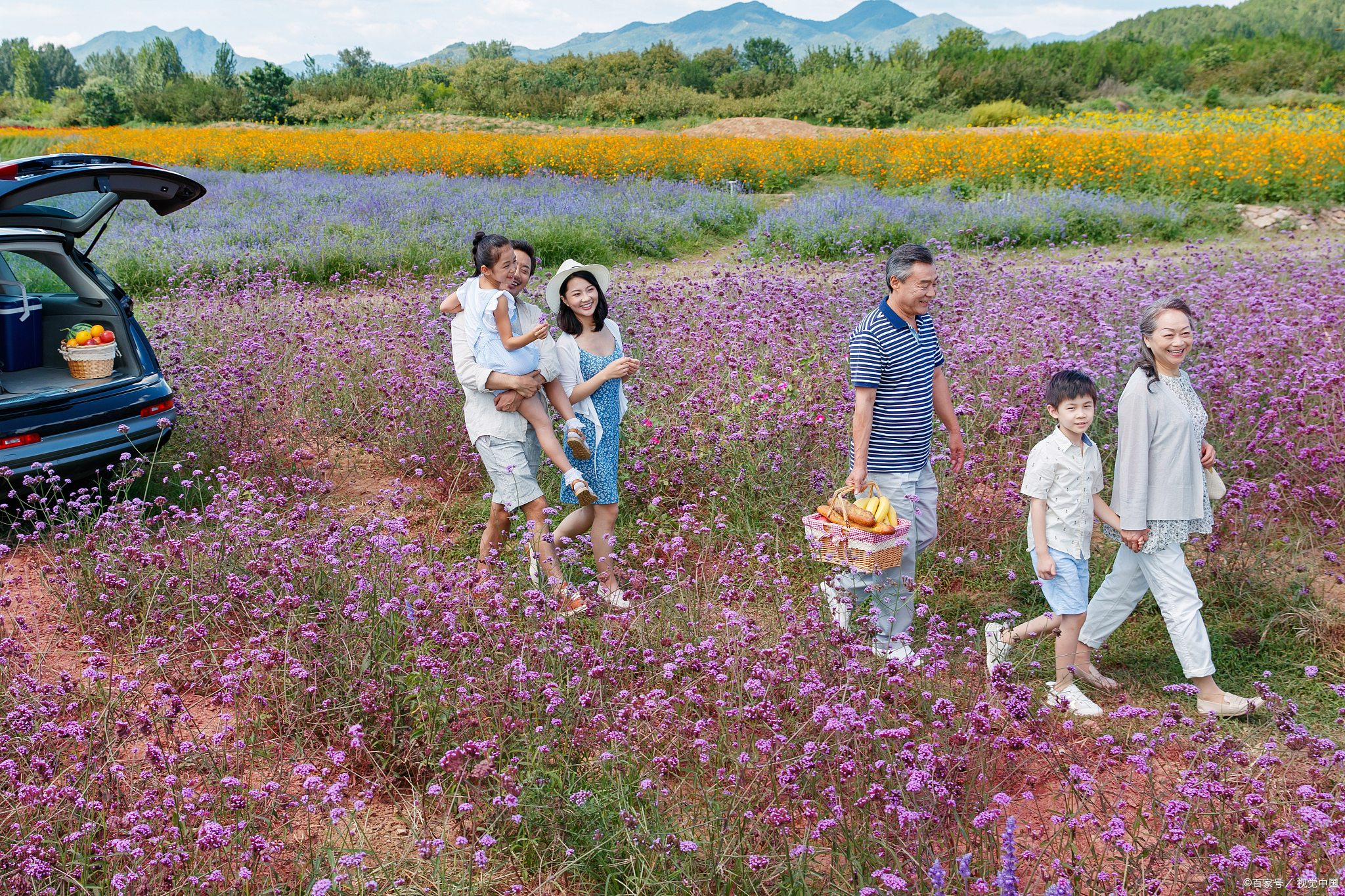 醉美三明香溪花谷:四季花海,尽享自然盛宴!