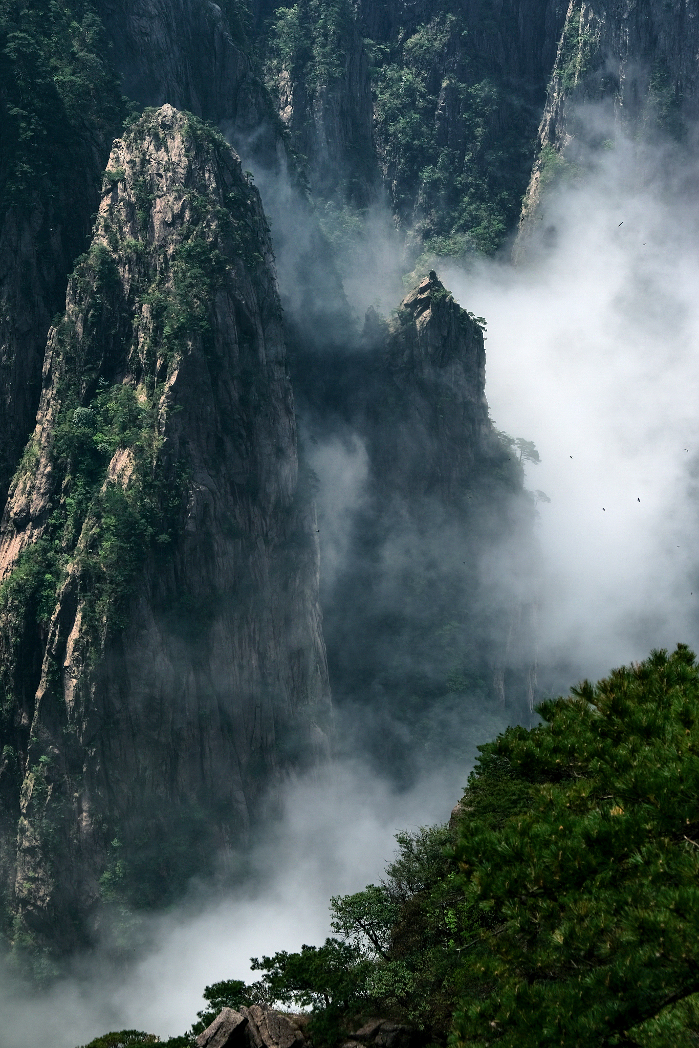 这老君山可不一般,它是秦岭余脉八百里伏牛山的主峰,海拔有2217米呢!