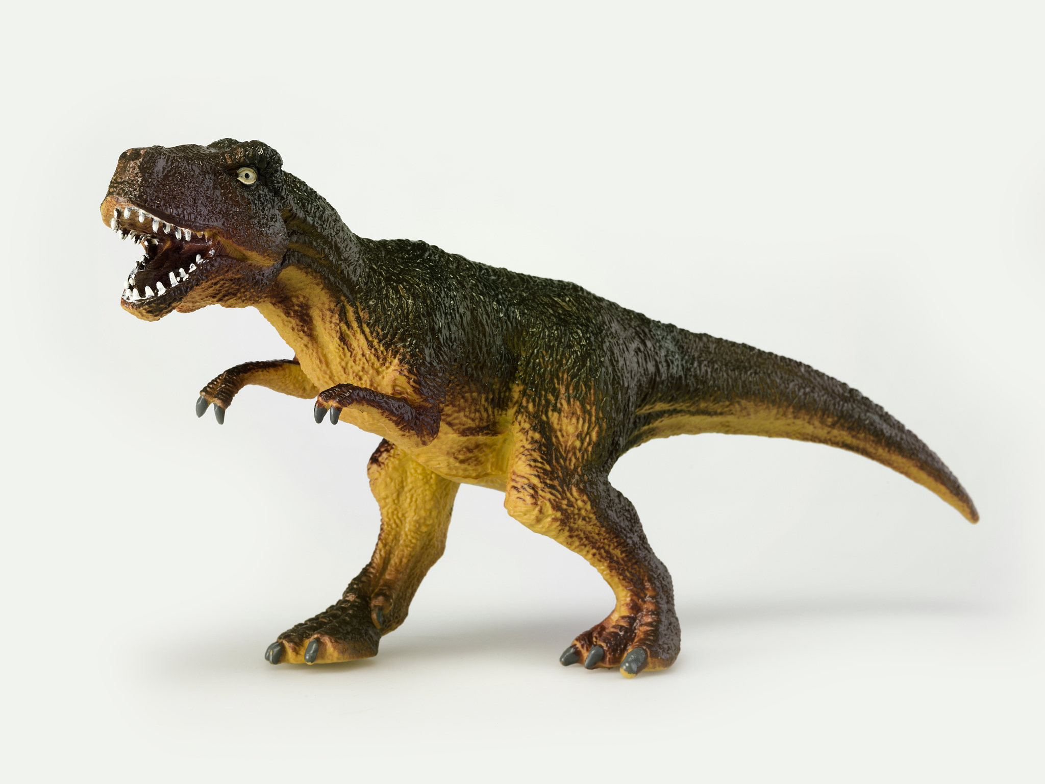 霸王龙是侏罗纪的还是白垩纪的?侏罗纪有霸王龙吗