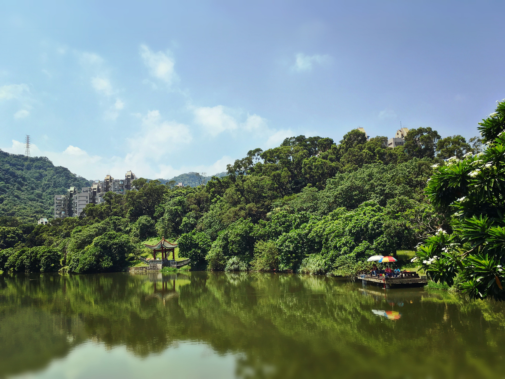 这一站就出发#广州帽峰山因山势陡峭,沟谷幽深,森林茂盛,流水淙淙