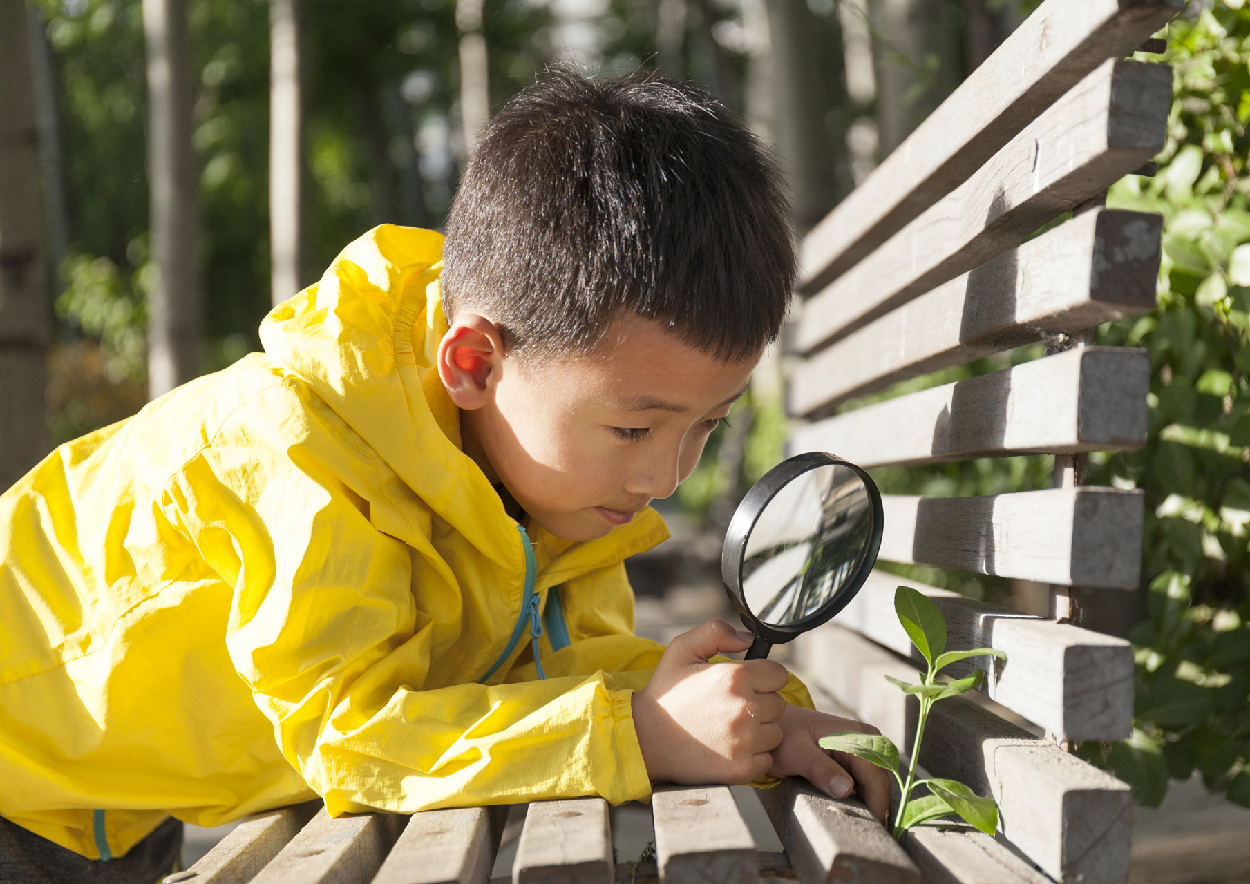孩子的探索欲望是正常的,这是他们认识世界和发展能力的一种方式.