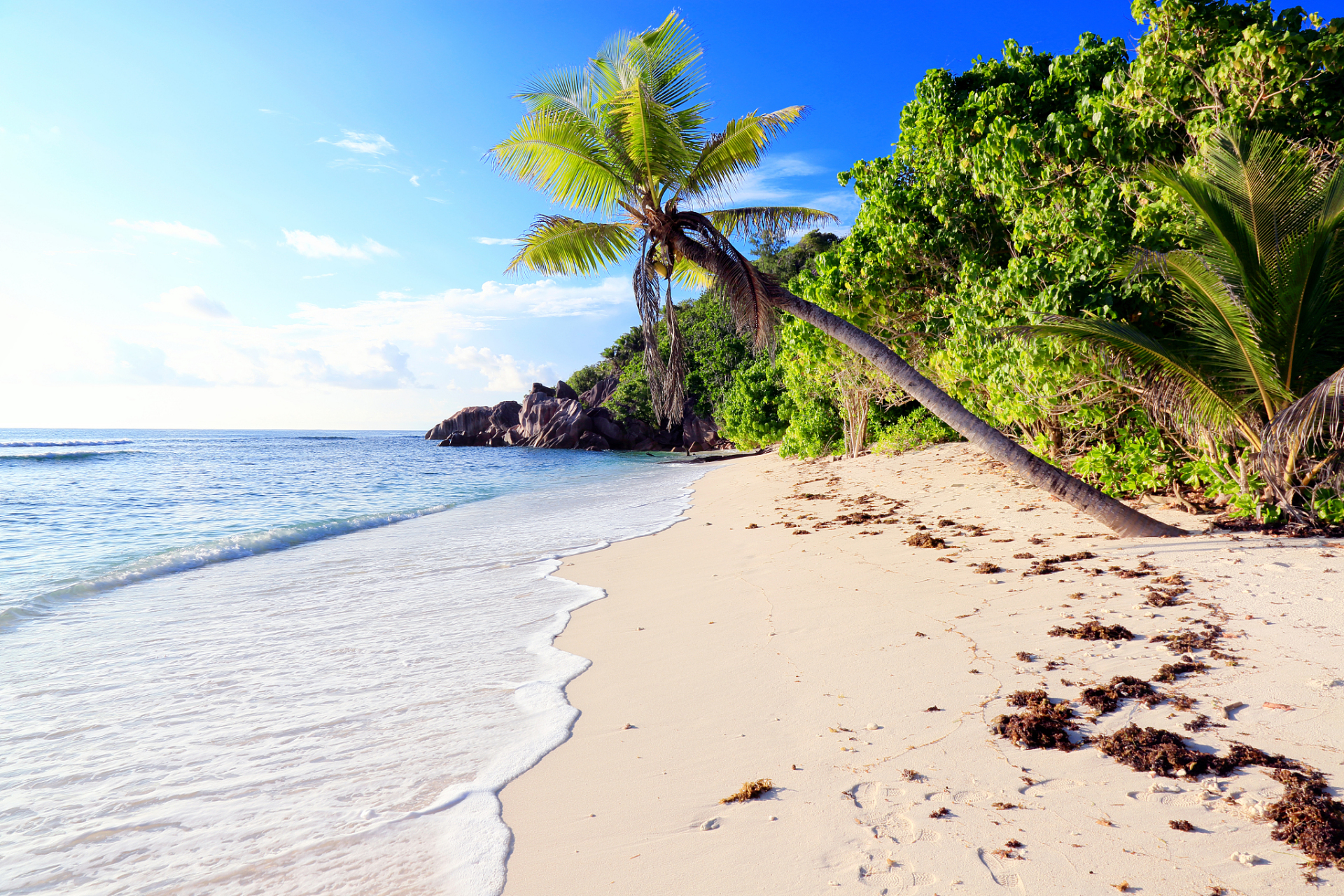 每个人都渴望好心情 像春天的阳光,温暖而明亮 像夏日的海风,轻盈而