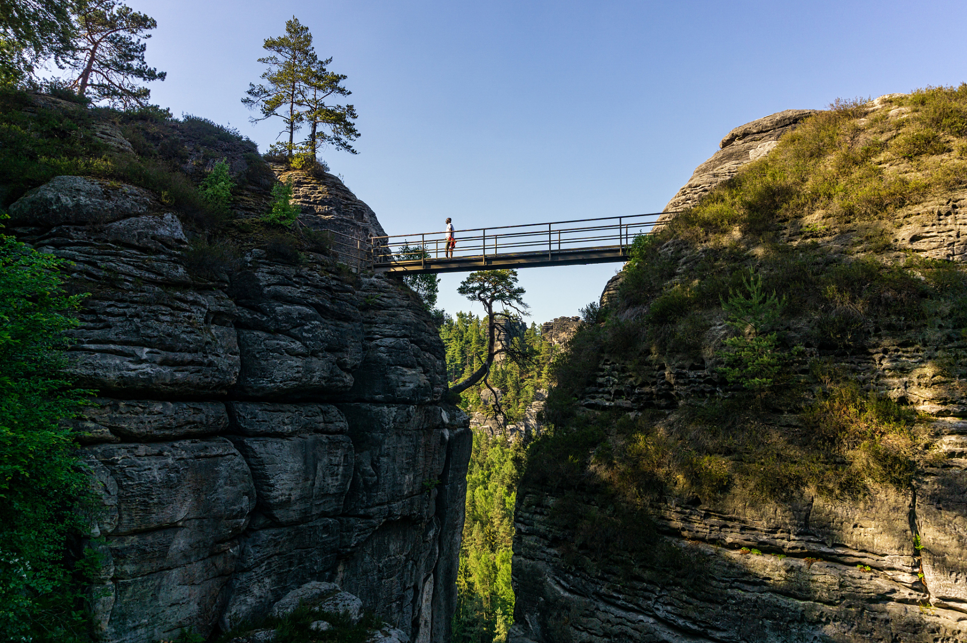西峡老界岭风景区位于中国优秀旅游城市河南省南阳市的西峡县太平镇