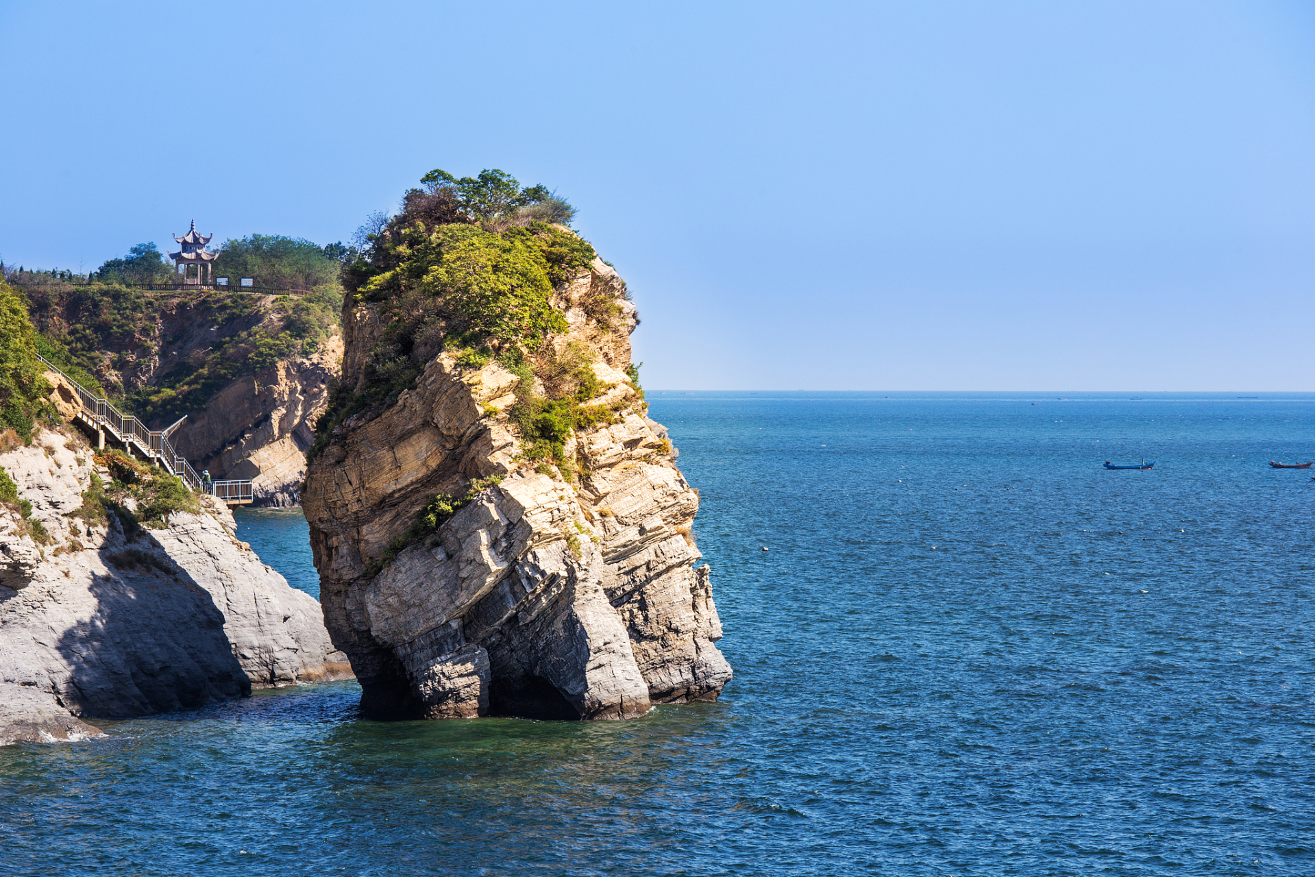 大连森林动物园  作为国家