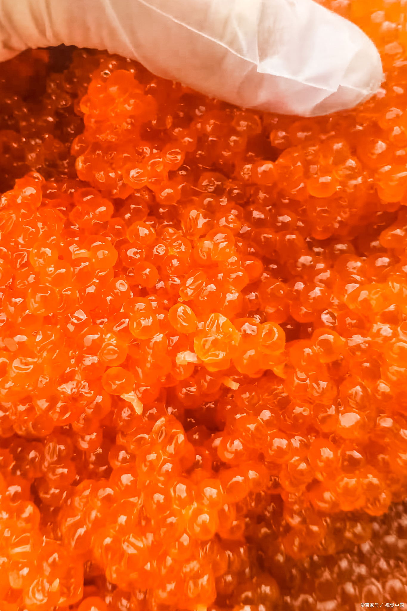 红蟹籽华昌飞鱼籽中粒,这款美食的魅力,不仅仅在于其丰富的口感和独特