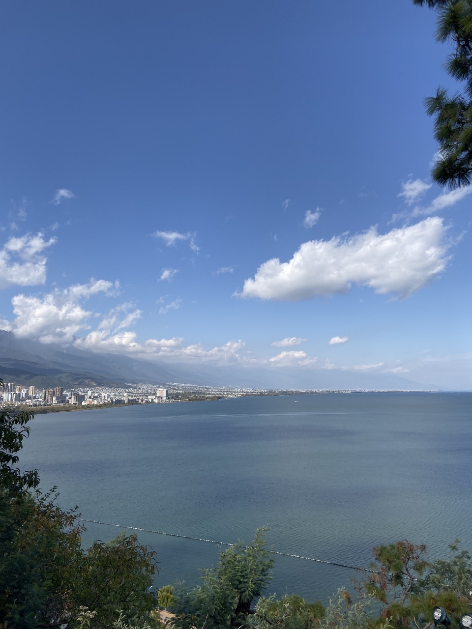 近日,一则关于女子在大理洱海裸泳的消息引起了广泛关注.