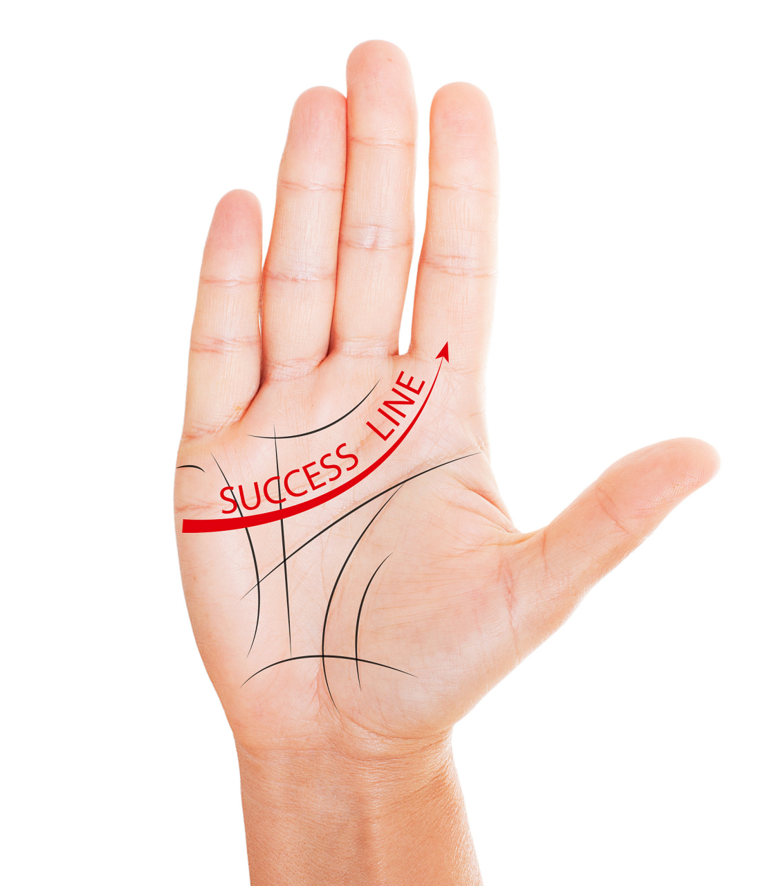 当感情线终点落在食指底部时,这意味着你有着完美主义倾向,对另一半的