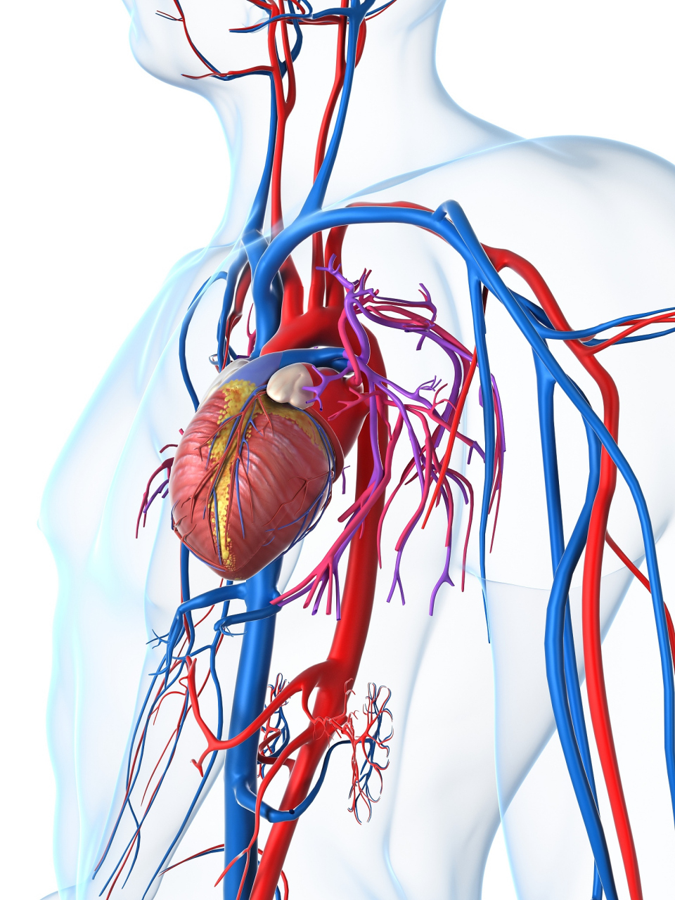 【患者自述】:起初,我对肺动脉高压和动脉导管未闭这两个医学名词一无