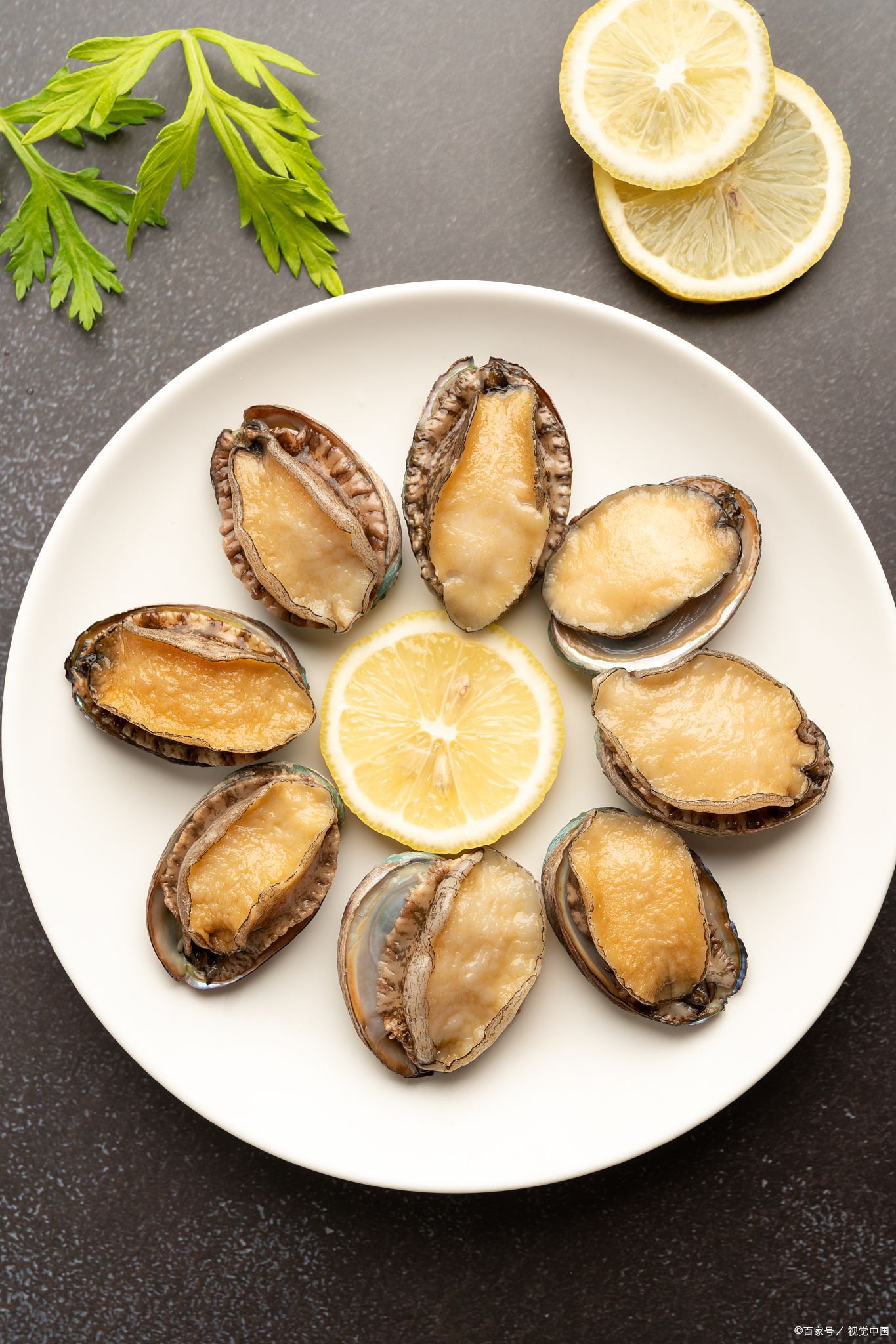 究其原因,主要在于鲍鱼产量的增加和养殖技术的持续进步,使得这种高端