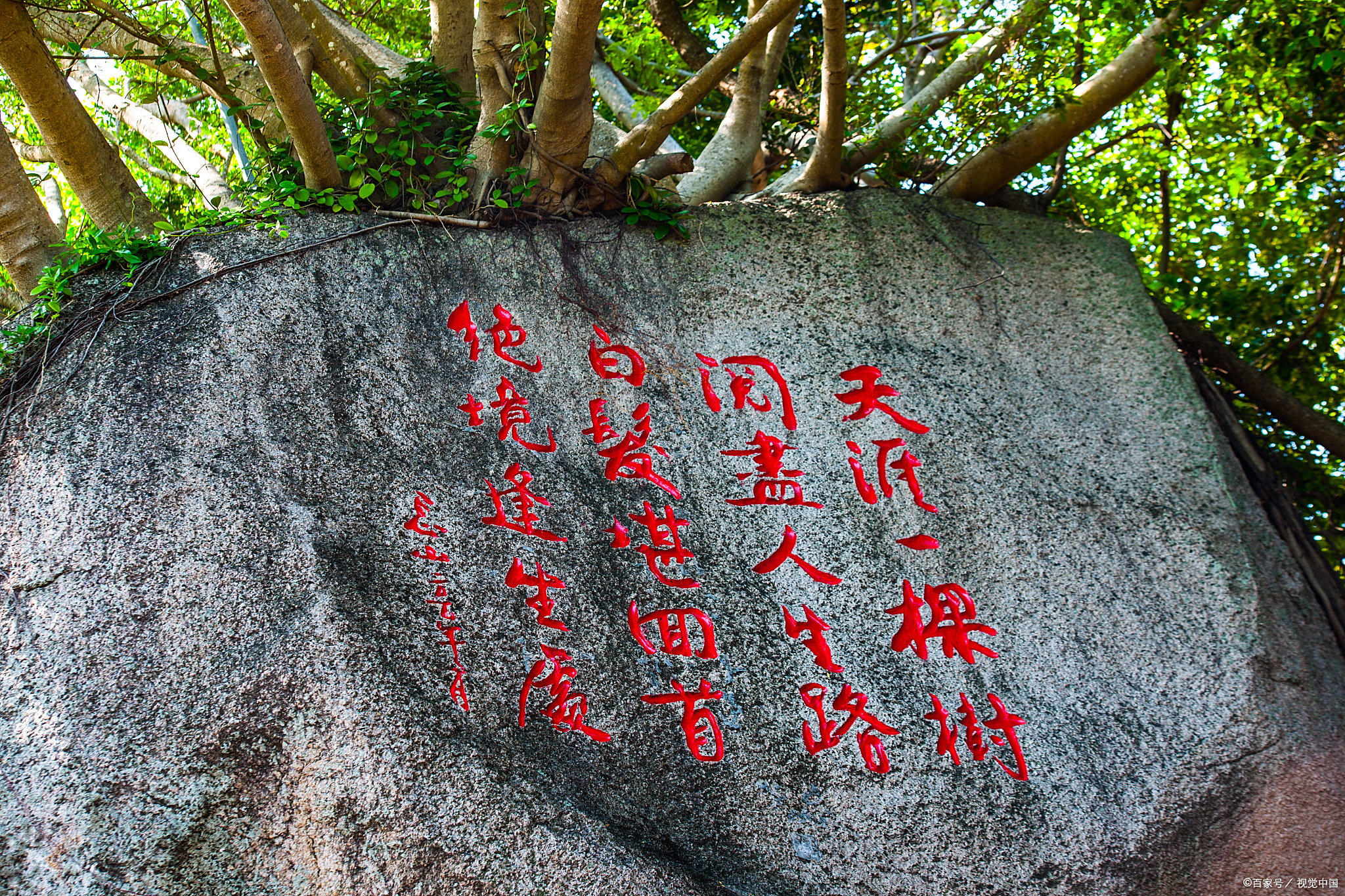 想要地老天荒,和你"天涯海角"