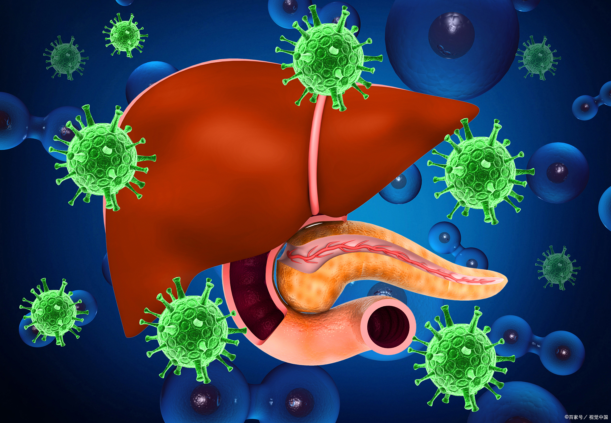先记住关键结论:日常吃饭不会传染乙肝